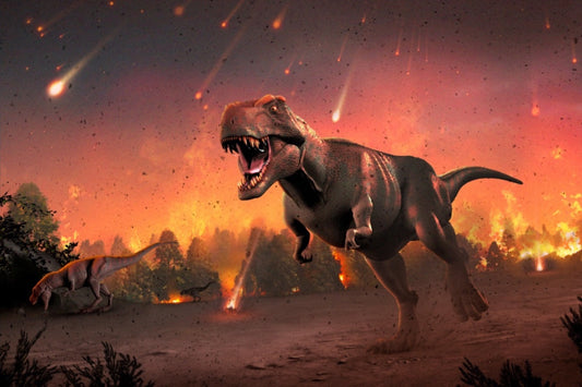 Dinosaur Extinction