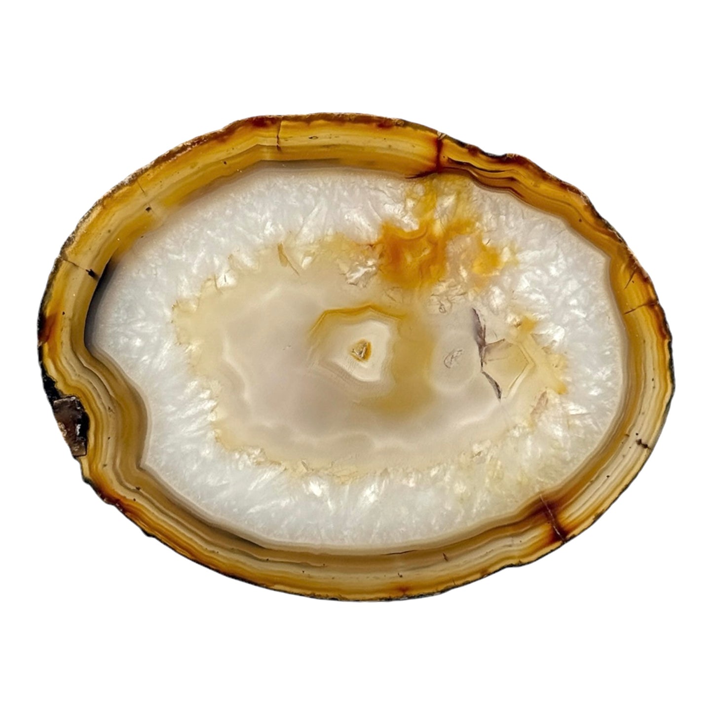 Agate Slice (Brown/Rust)