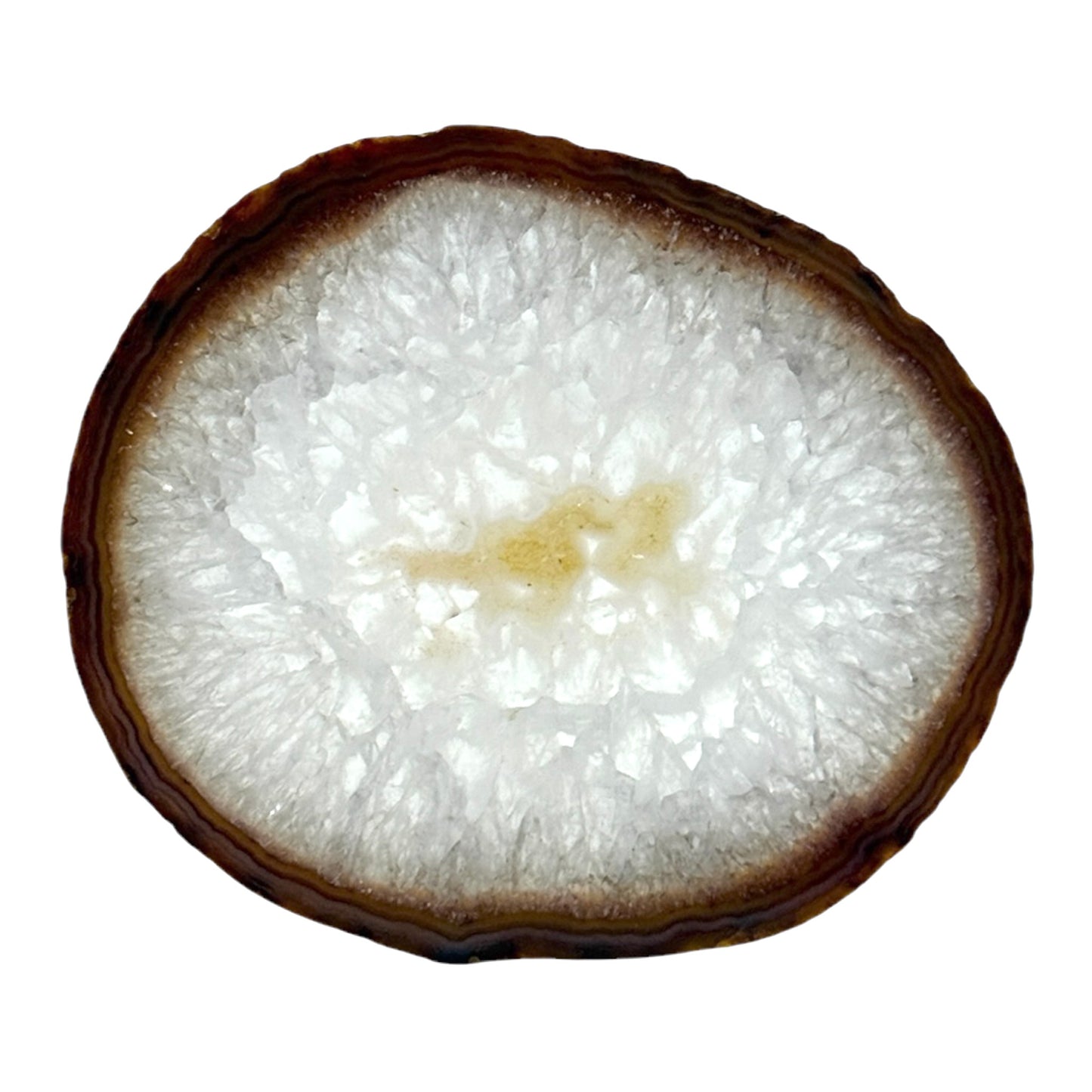 Agate Slice (Brown/Rust)