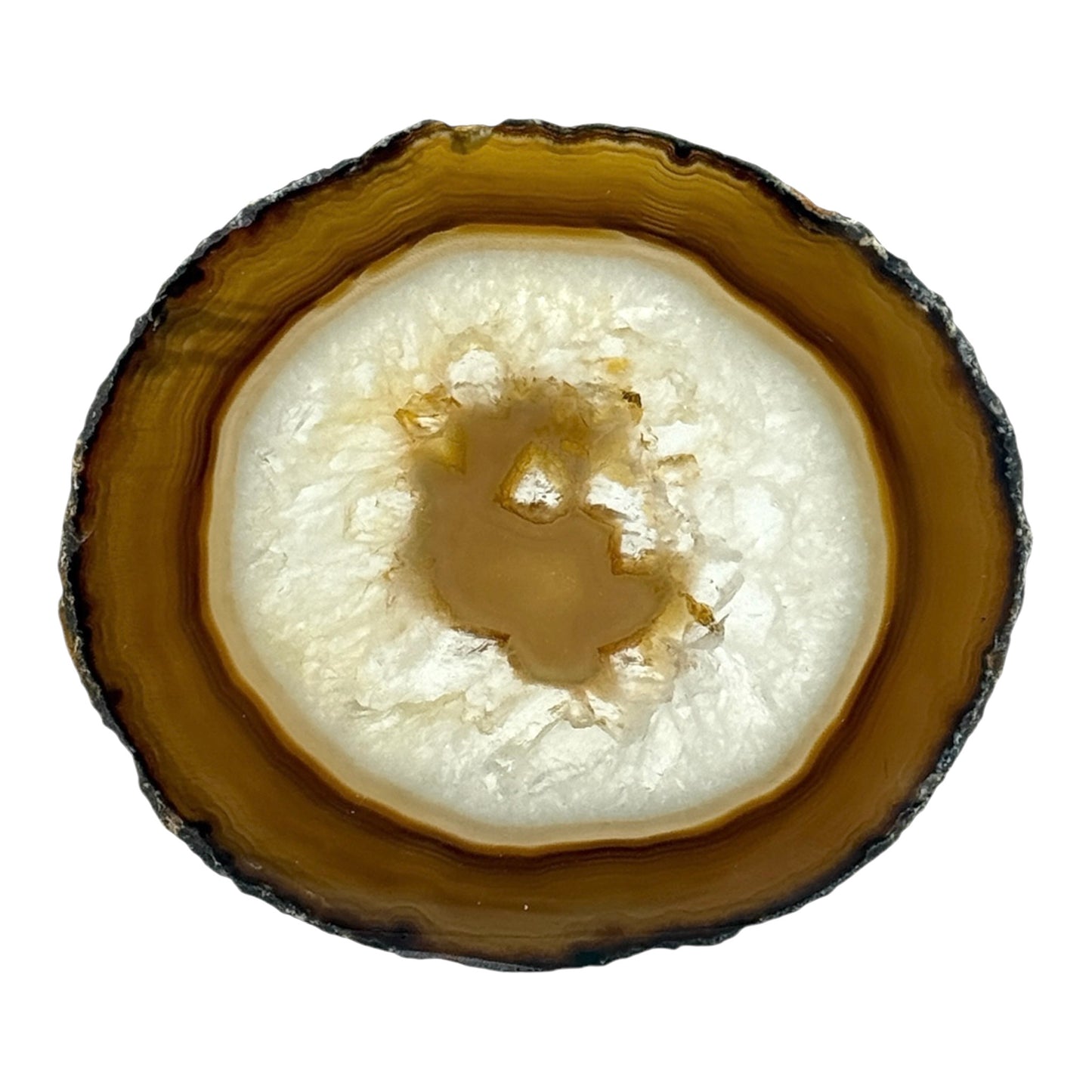 Agate Slice (Brown/Rust)