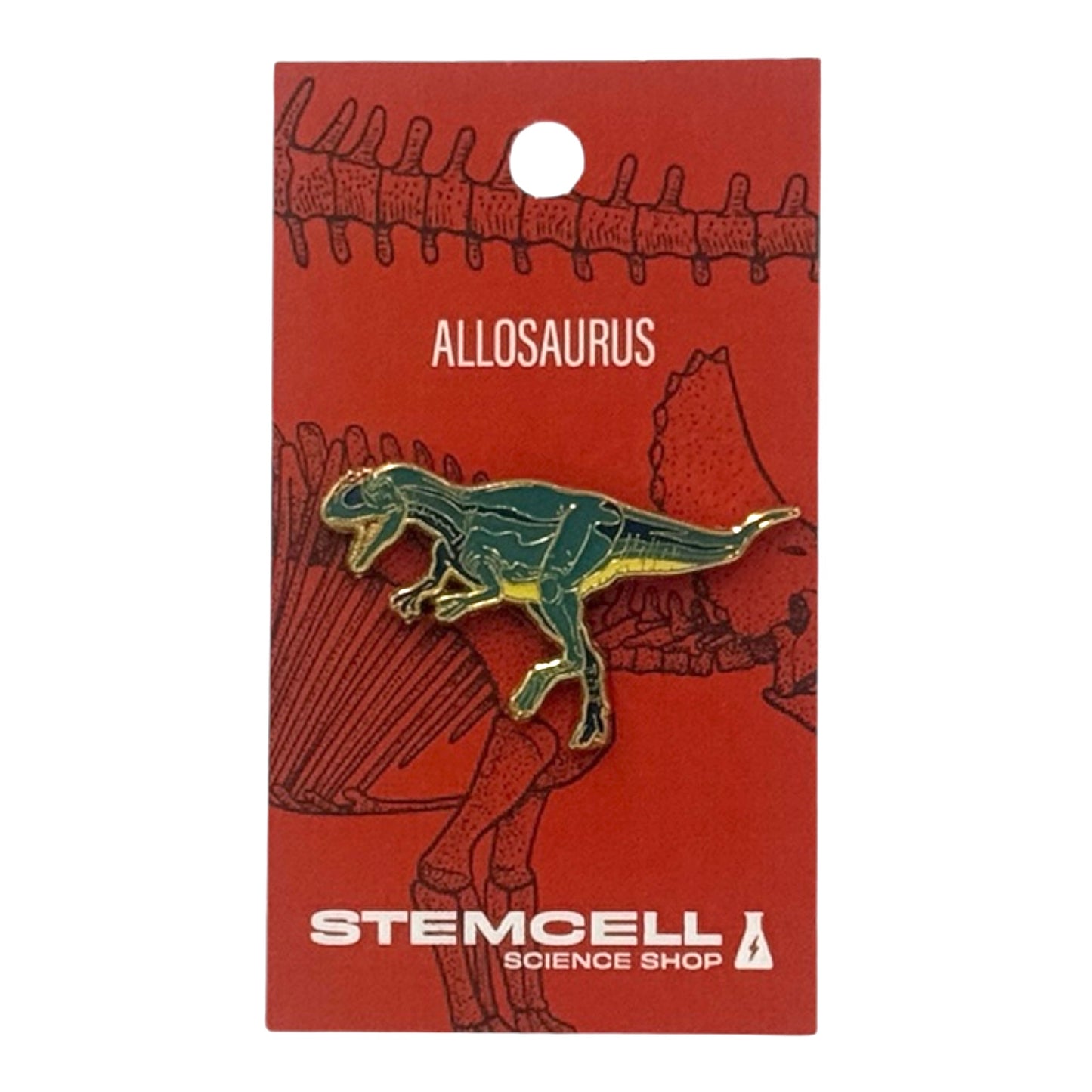Prehistoric Pin