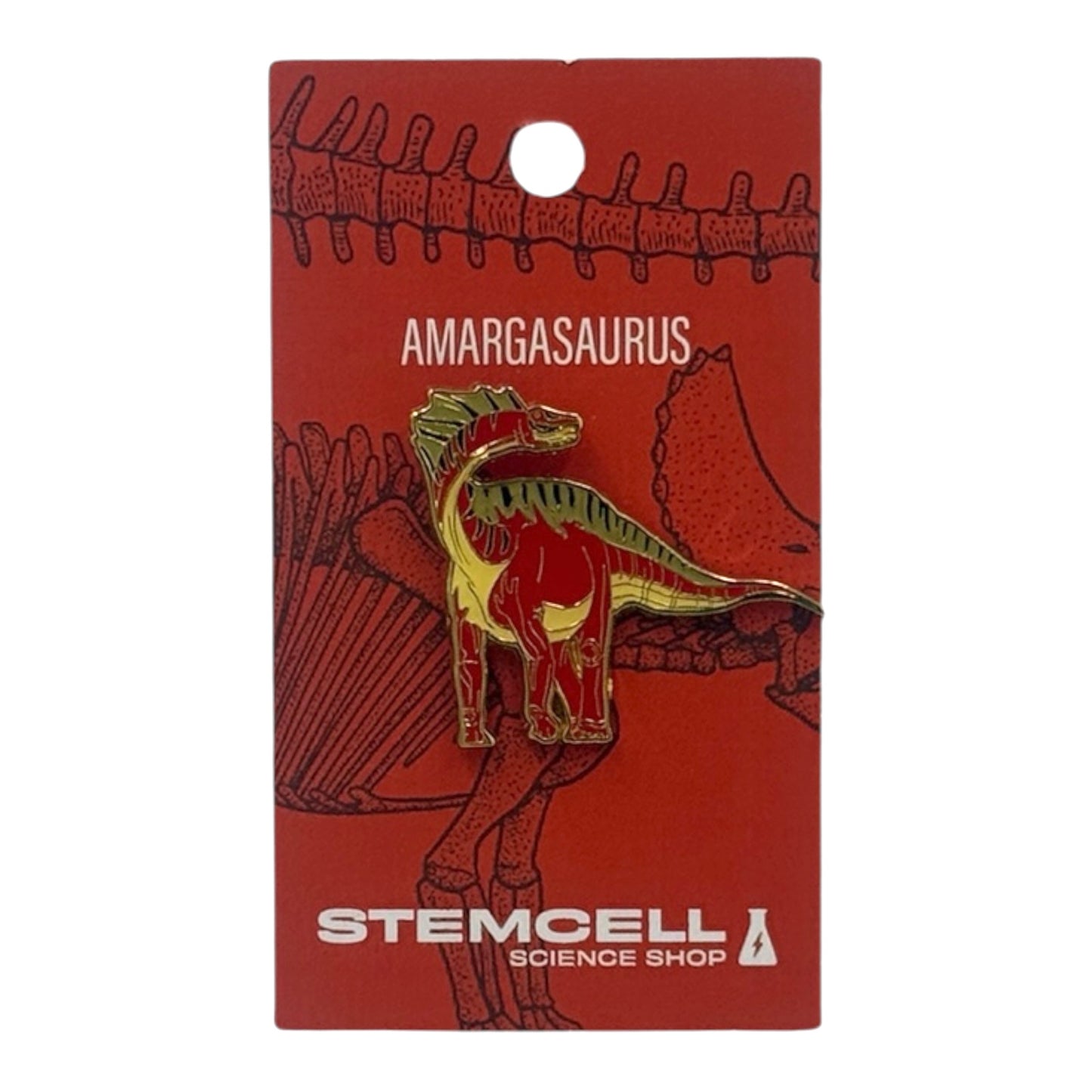 Prehistoric Pin