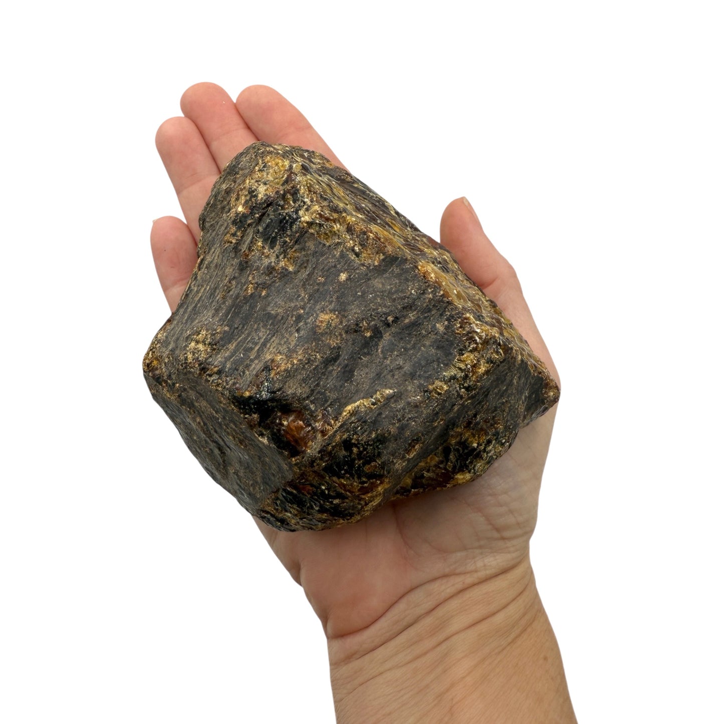 Indonesian Amber