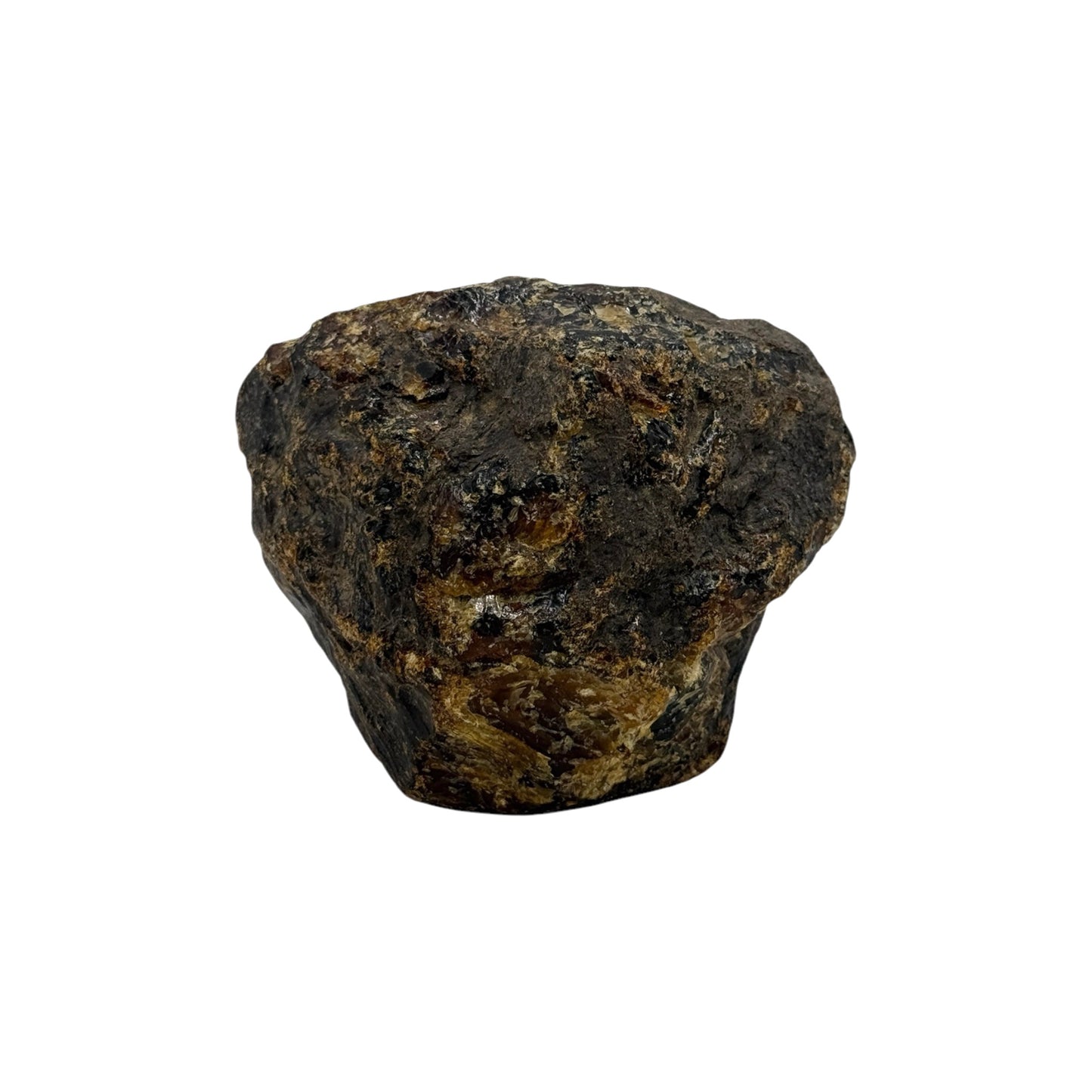 Indonesian Amber