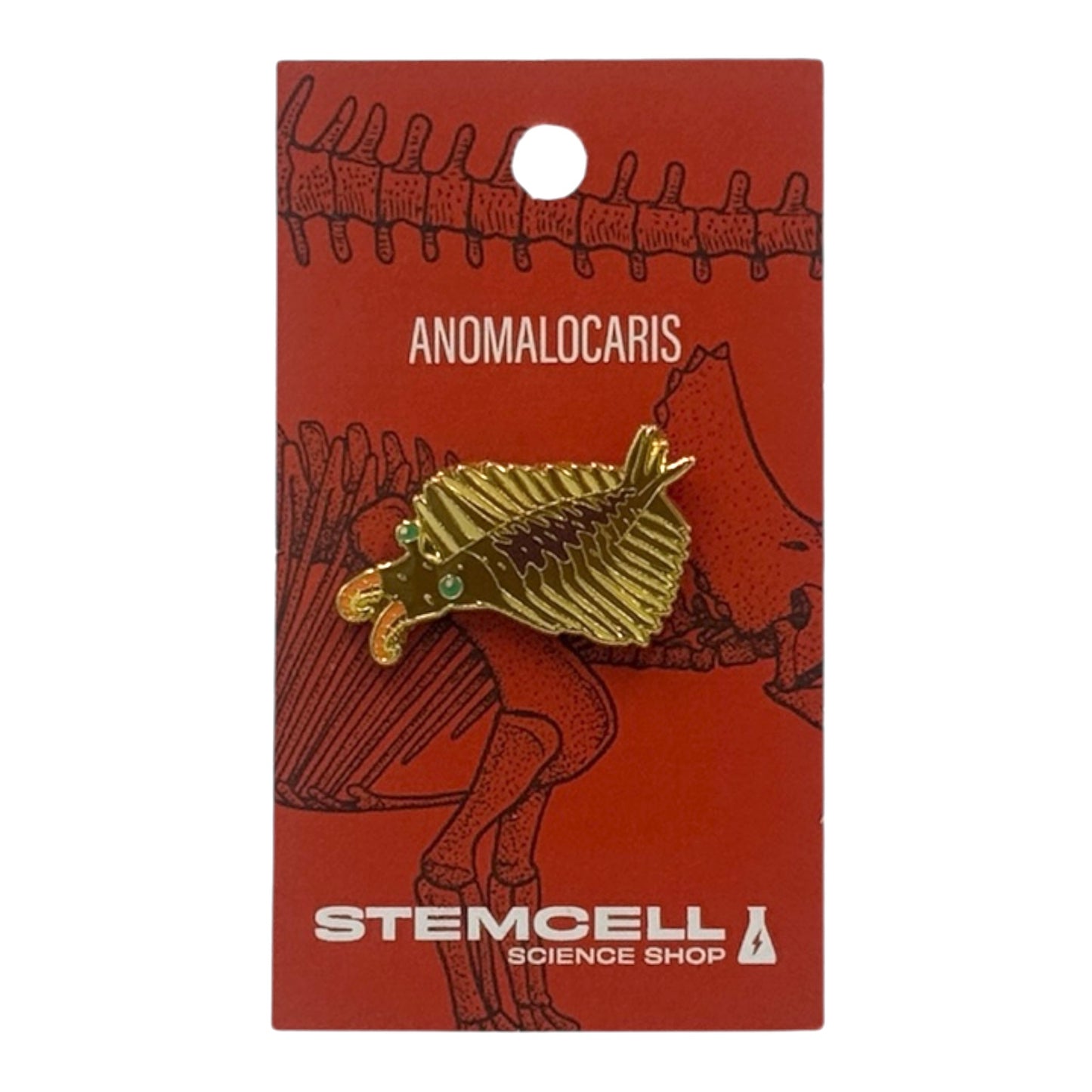 Prehistoric Pin