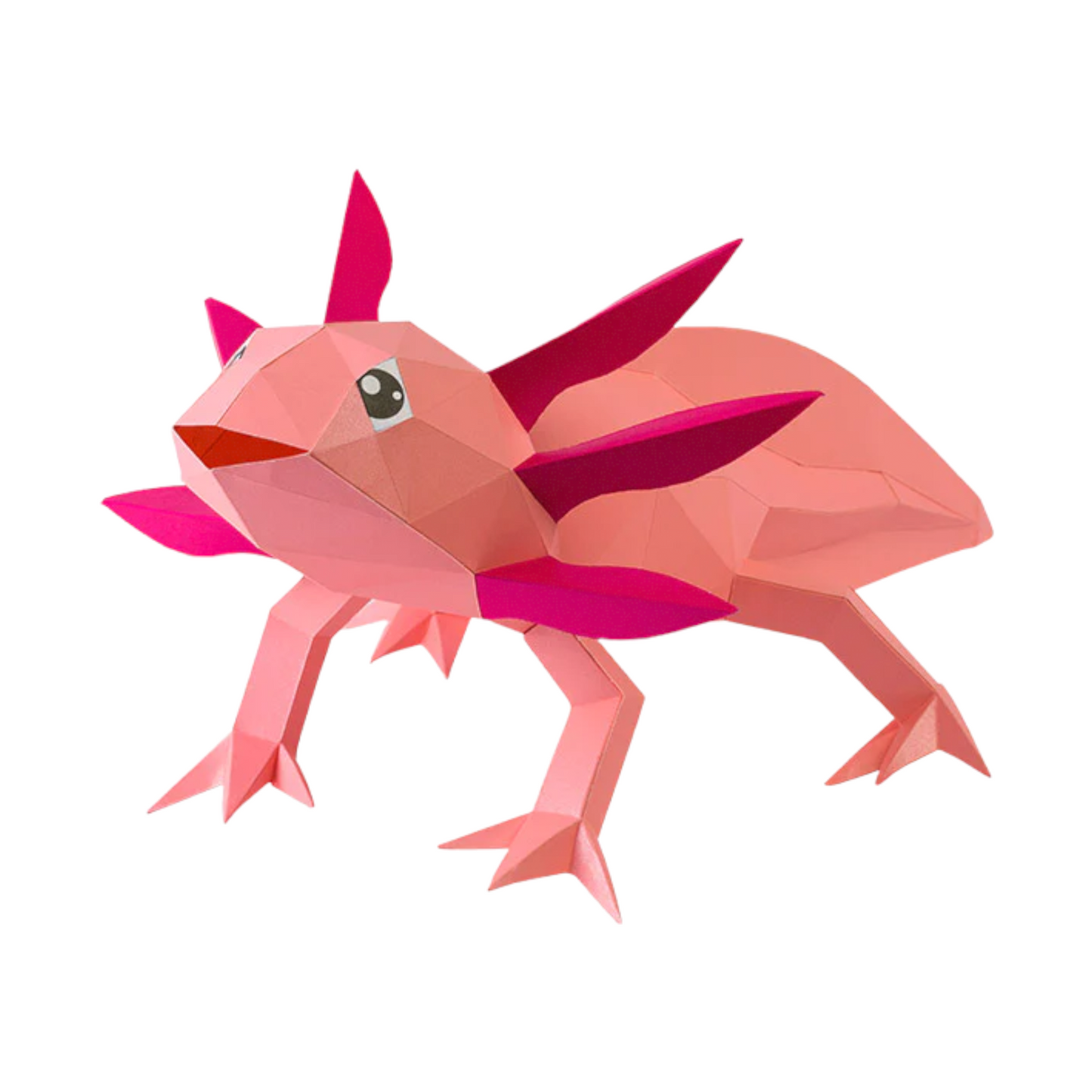 PaperCraft 3D Model (Axolotl)