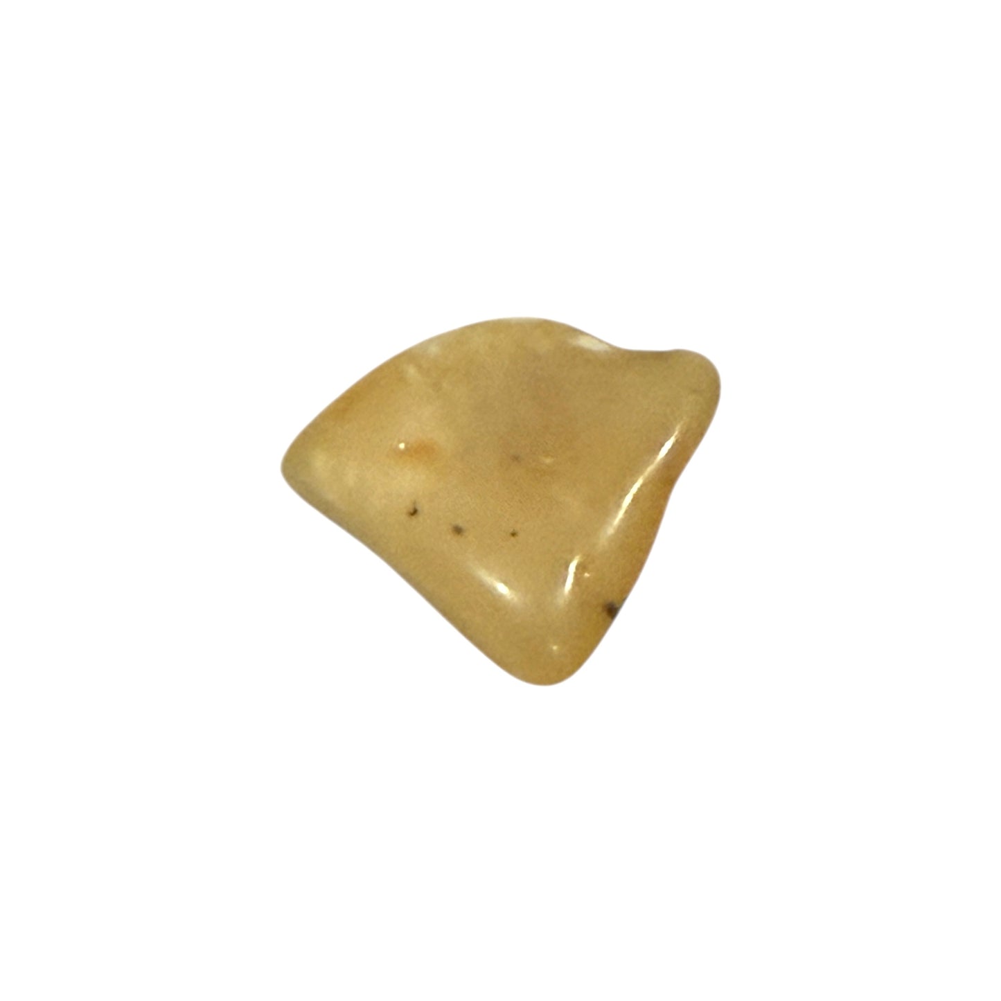 Baltic Amber (1 Piece)
