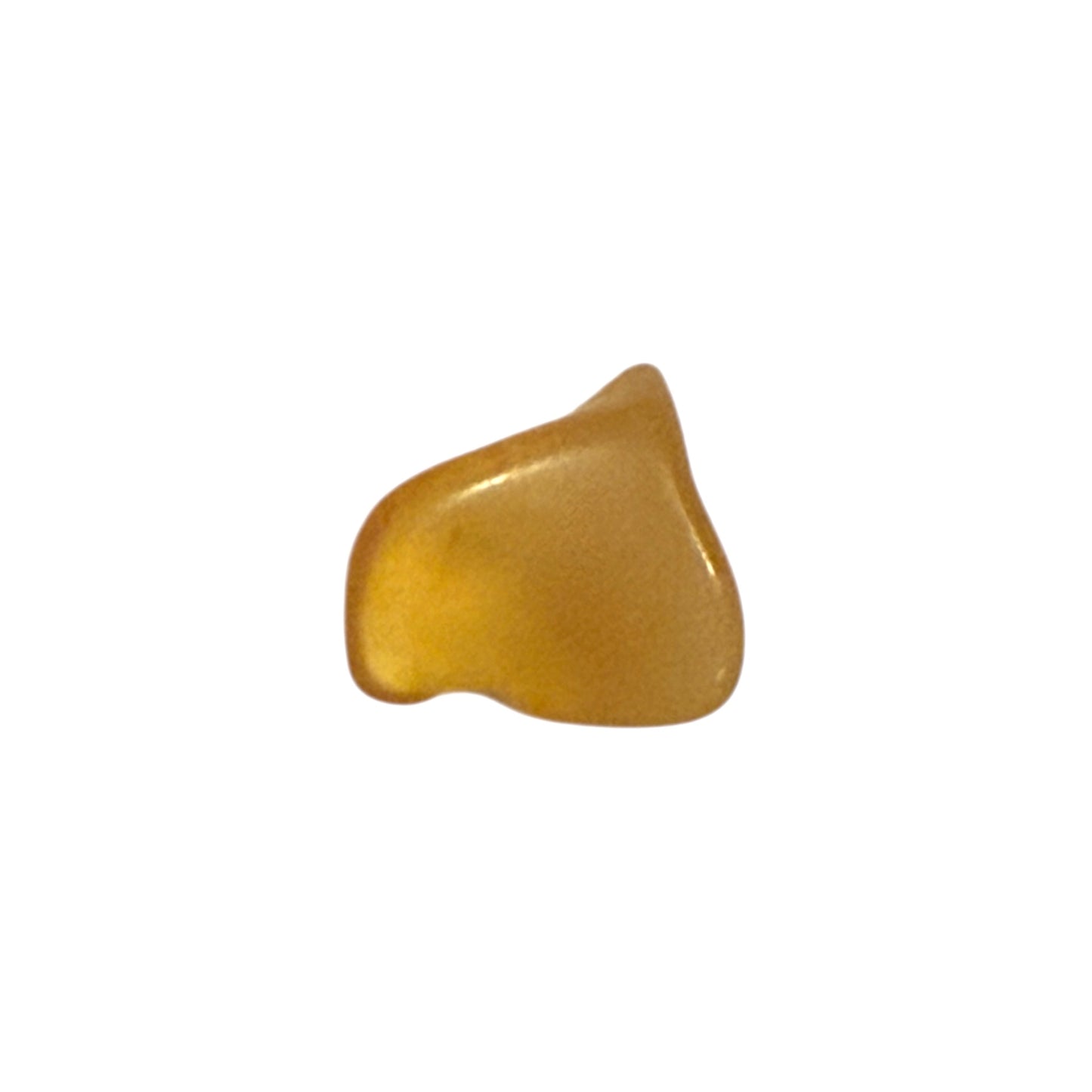 Baltic Amber (1 Piece)