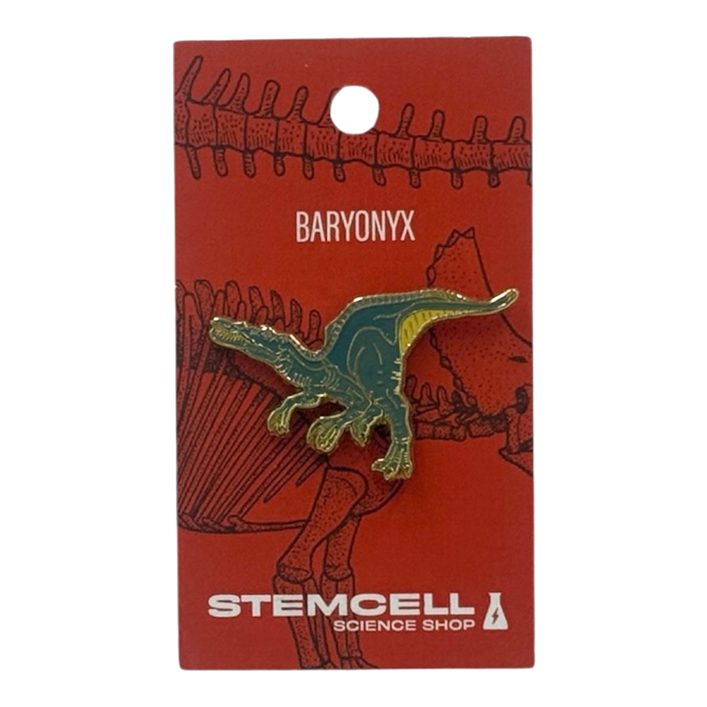 Prehistoric Pin