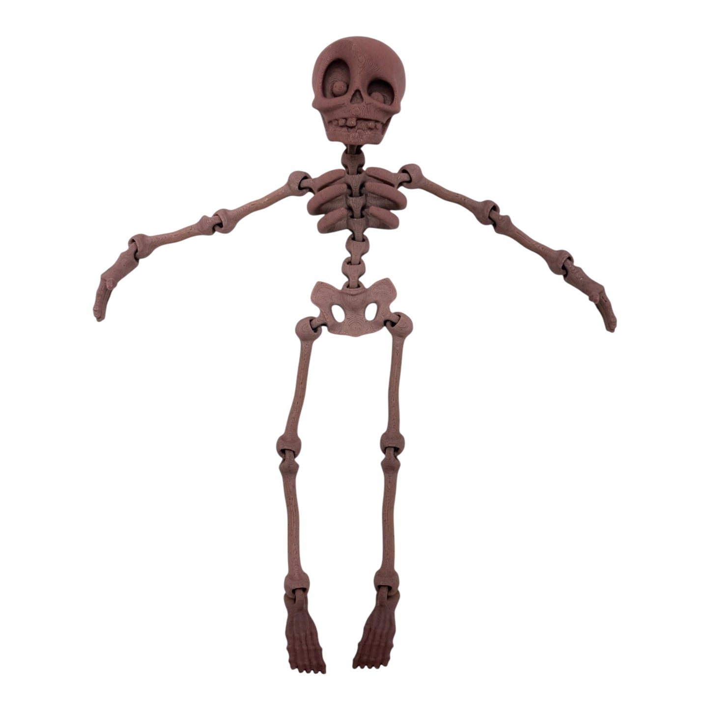 3D Printed Human Skeleton