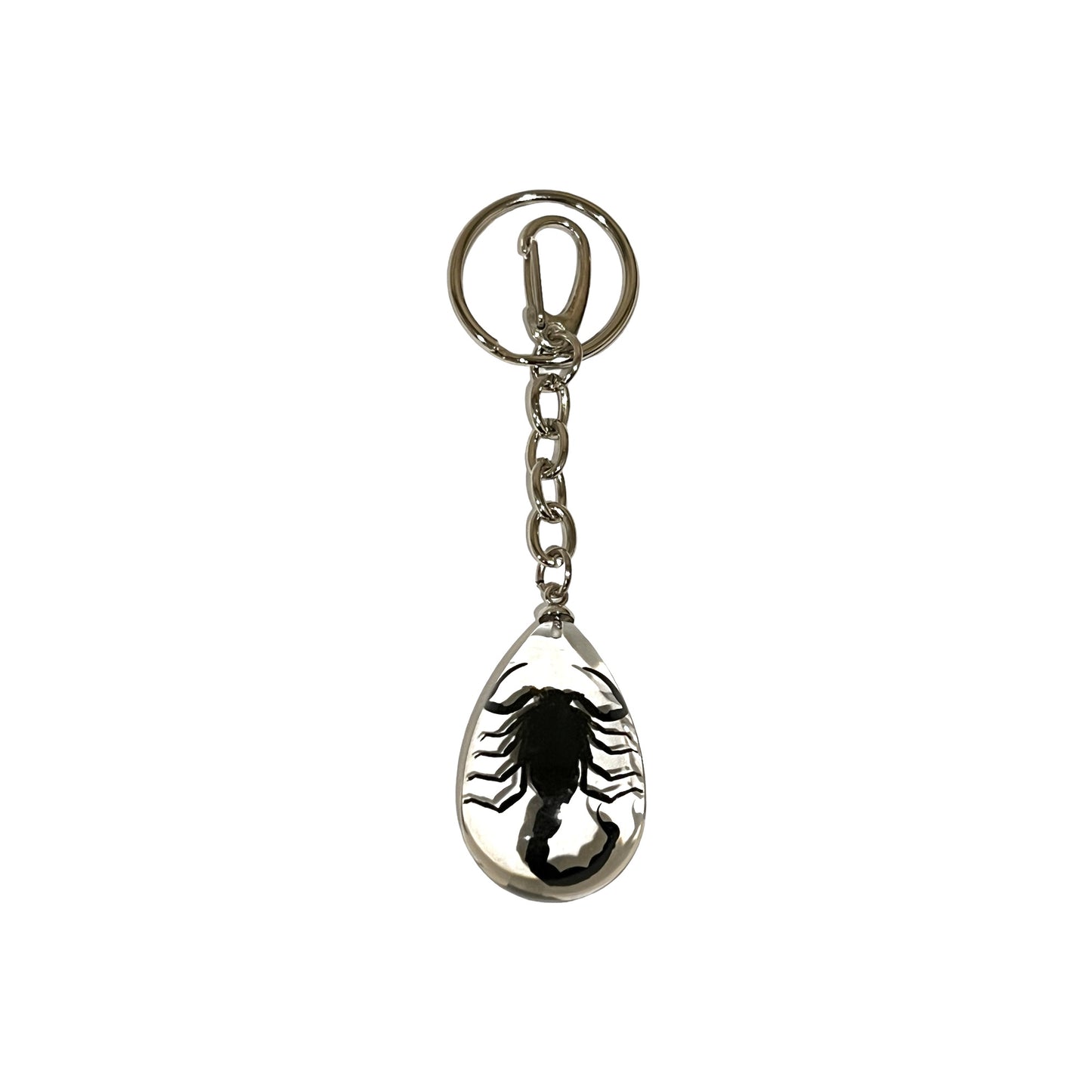 Scorpion Keychain