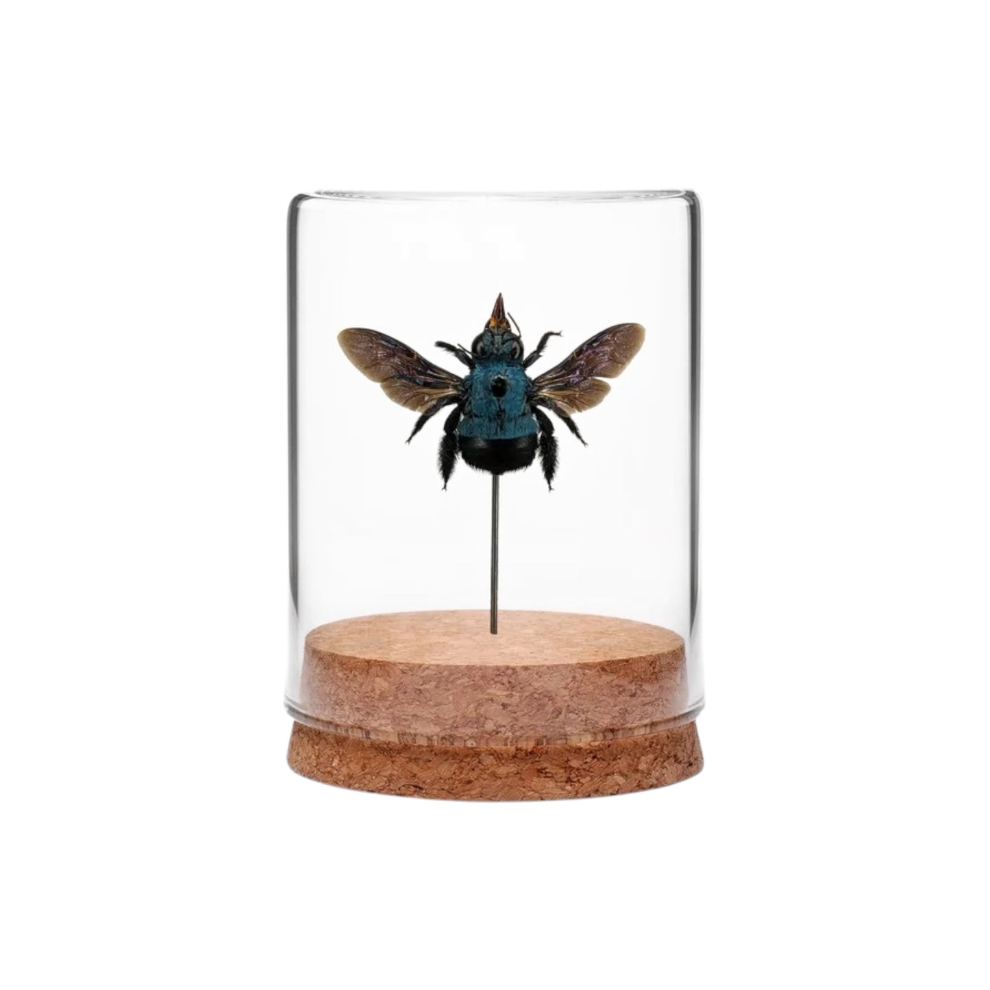 Blue Carpenter Bee Globe