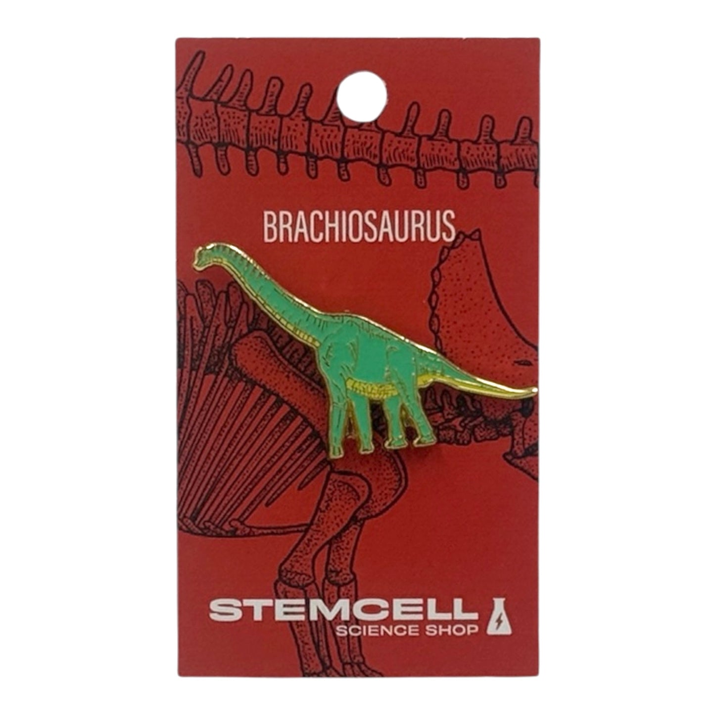 Prehistoric Pin