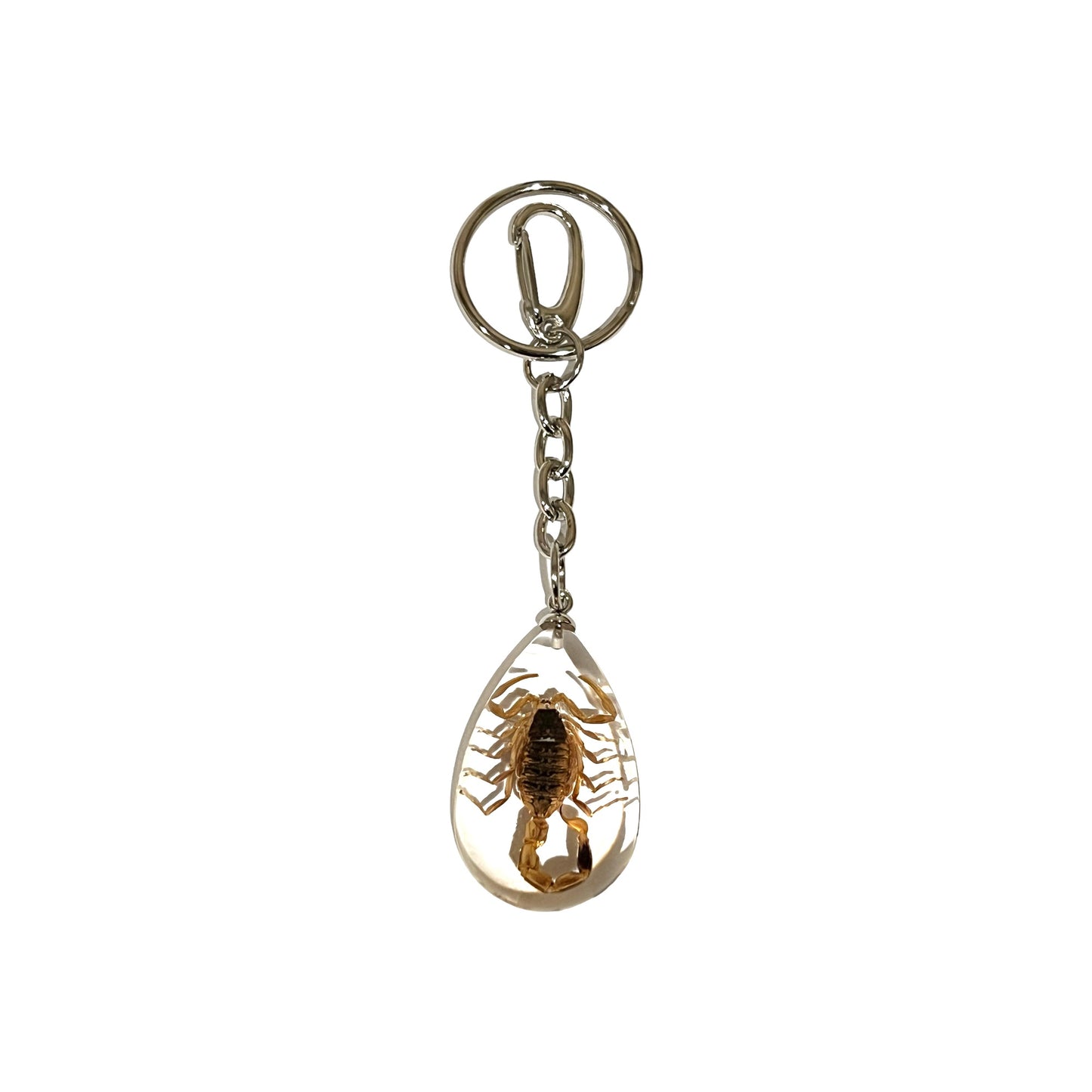 Scorpion Keychain