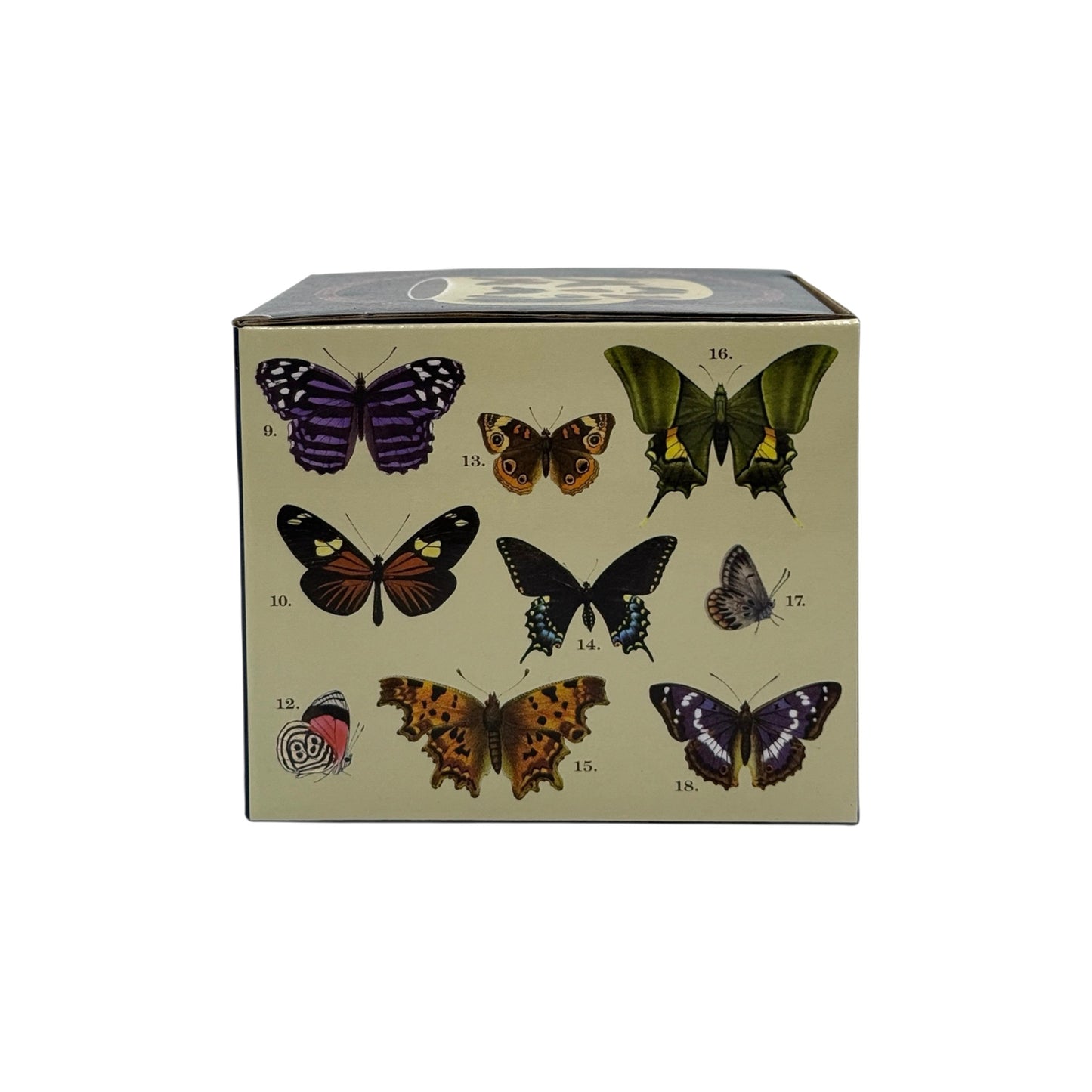 Heat-Changing Butterflies Mug