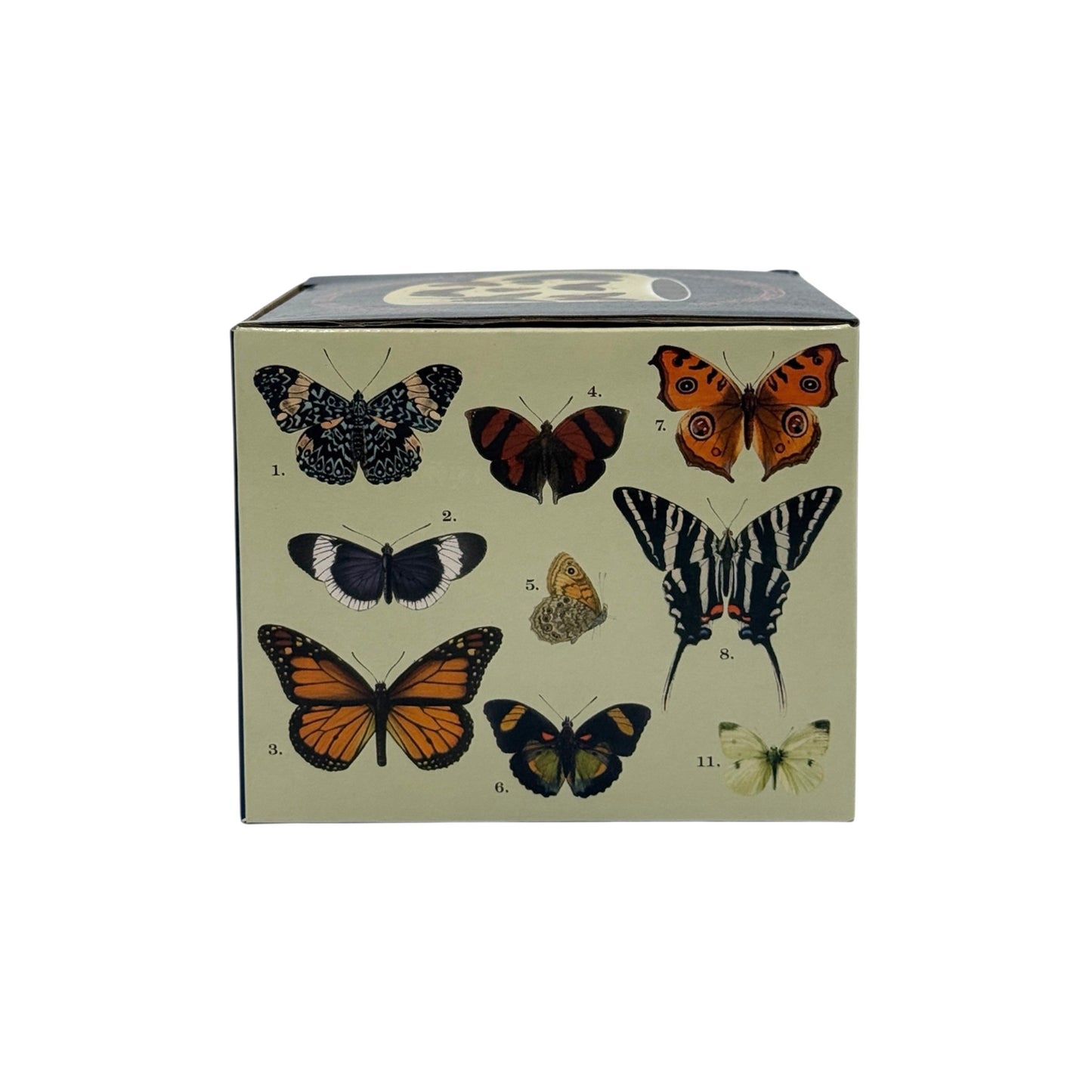 Heat-Changing Butterflies Mug