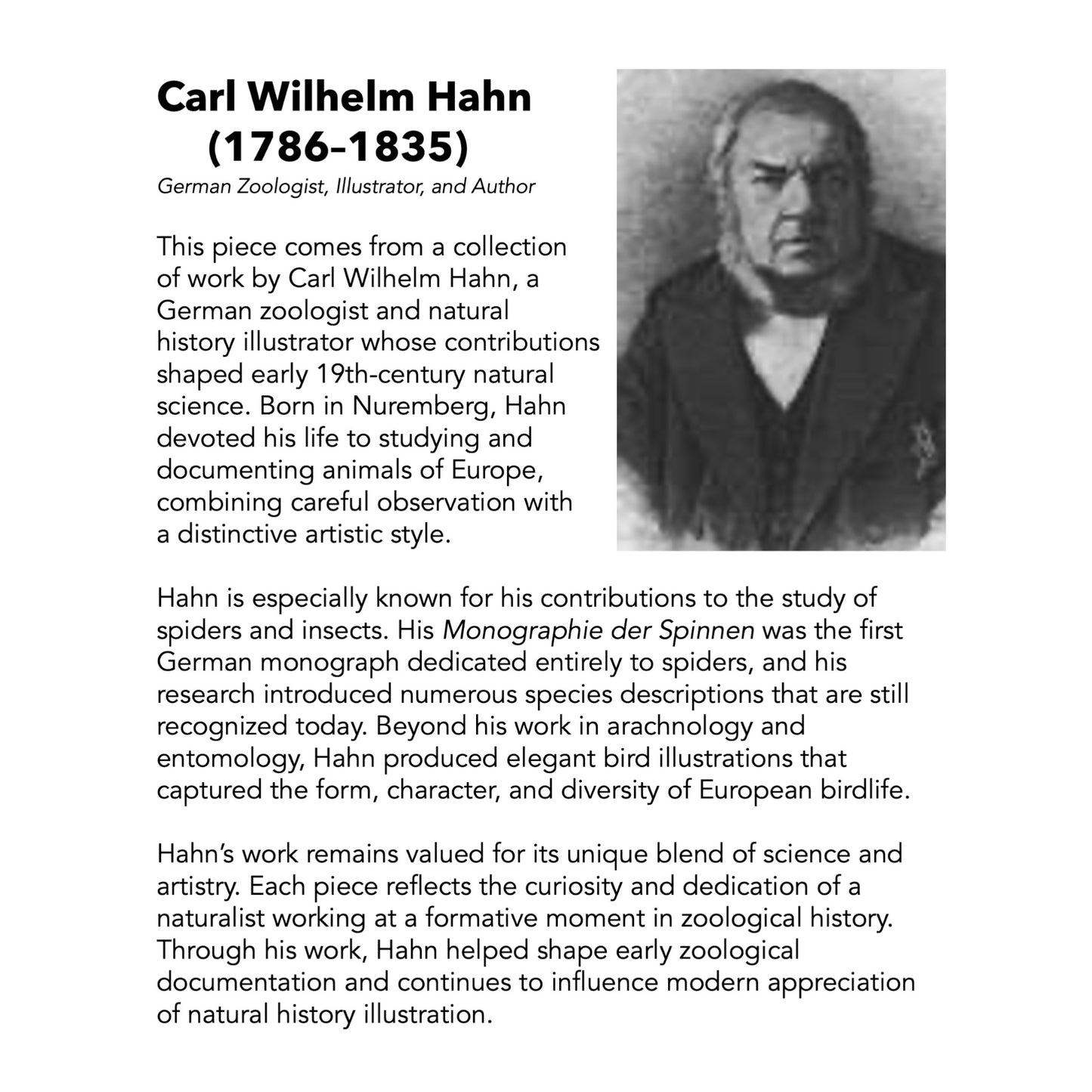 Lycosa Maculata and Lycosa Waglerii - Framed Art by Carl Wilhelm Hahn