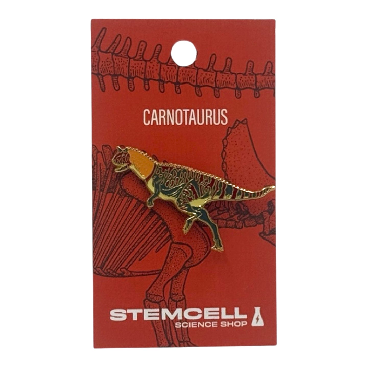 Prehistoric Pin