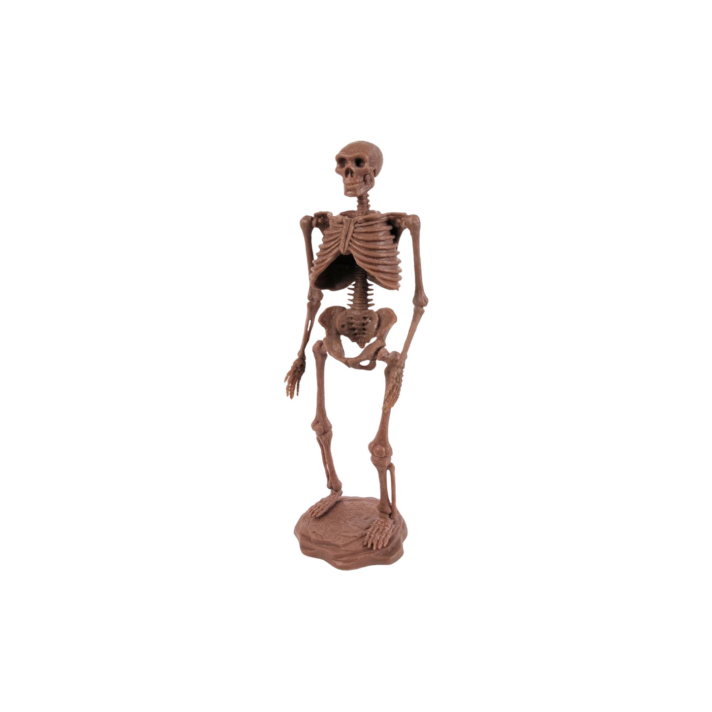 Dr. Steve Hunters Excavation Kit (Cave Man)