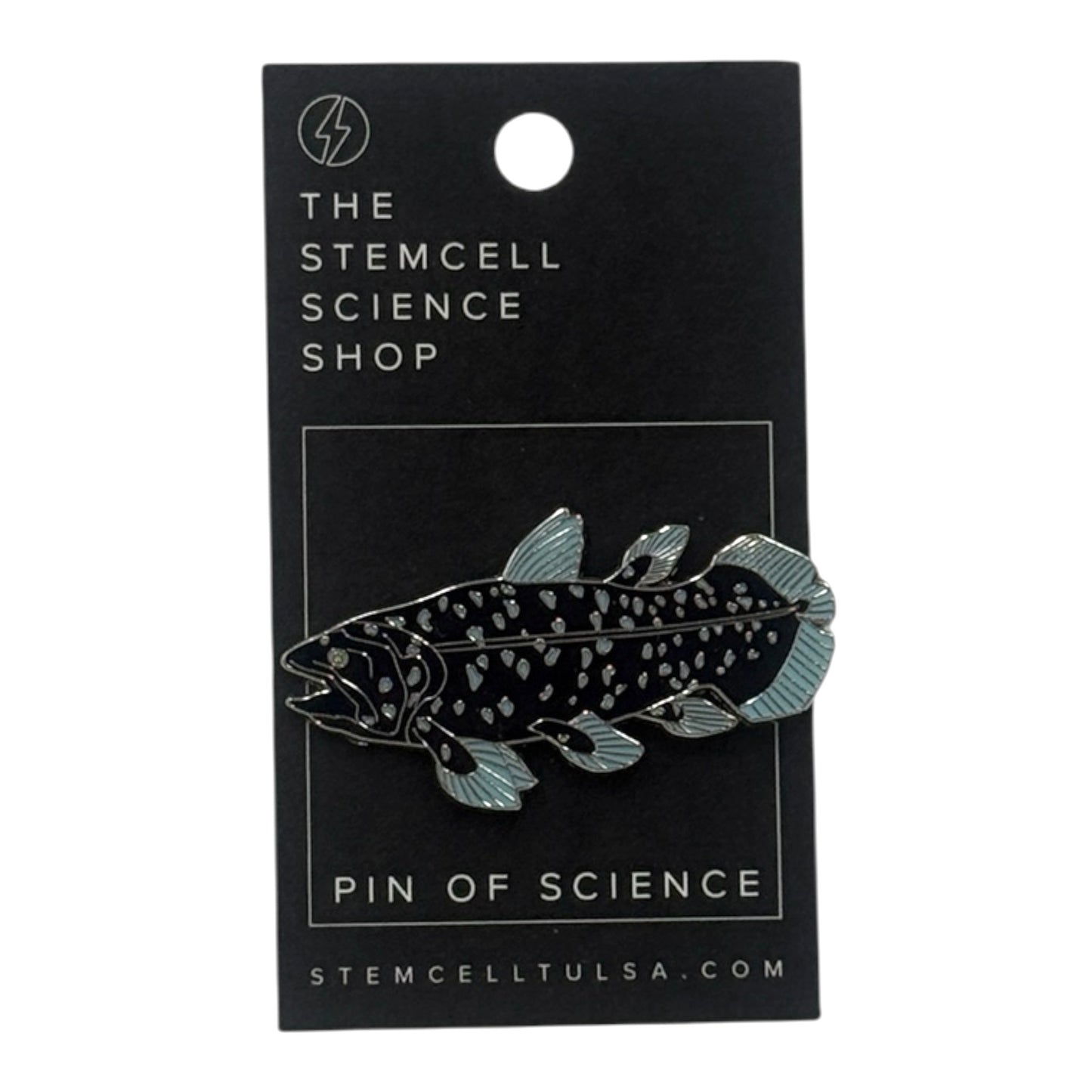 Prehistoric Pin
