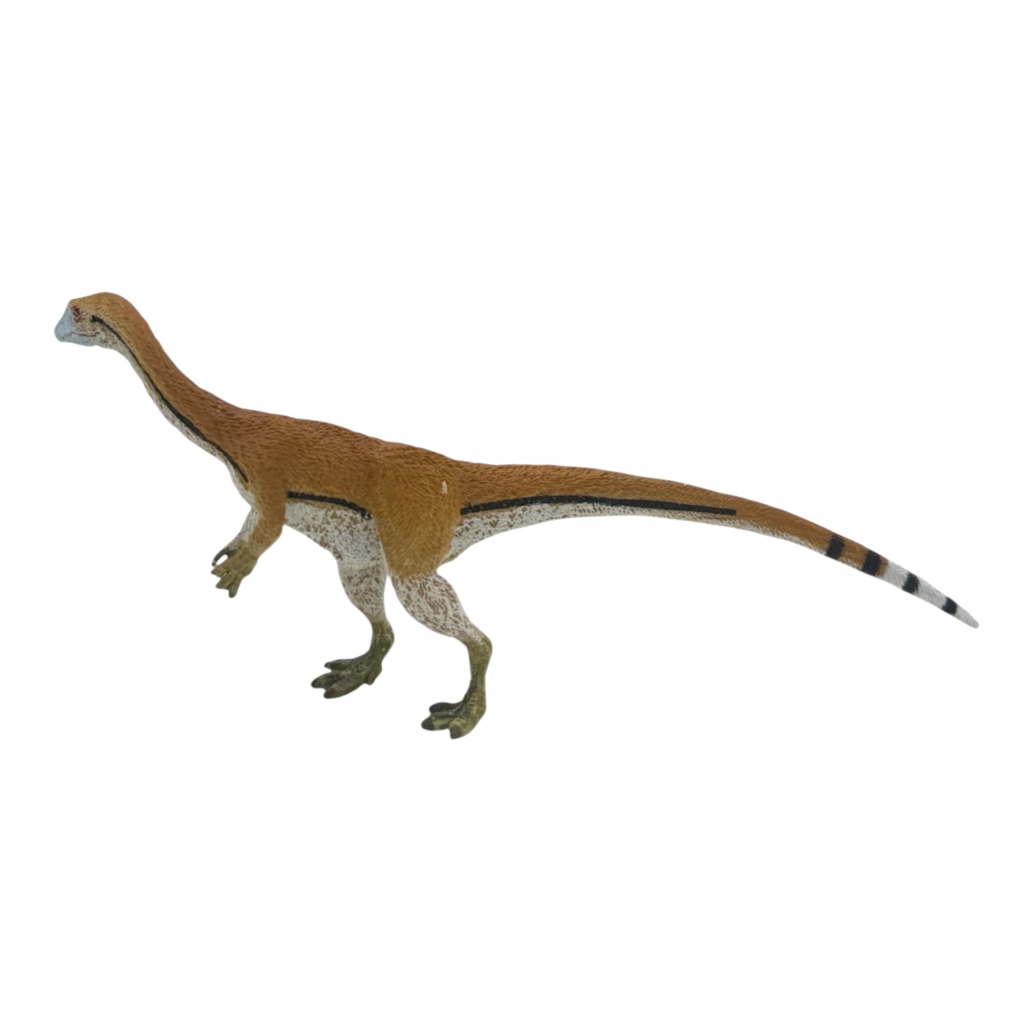Coelophysis (Safari)