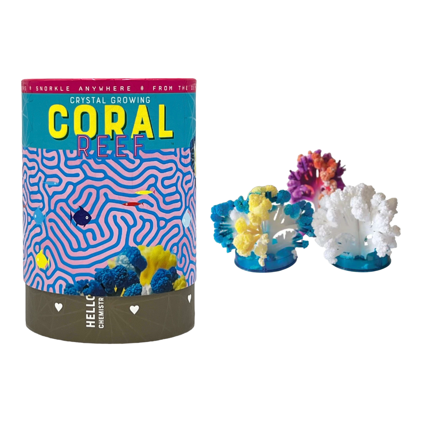 Crystal Growing Coral Reef