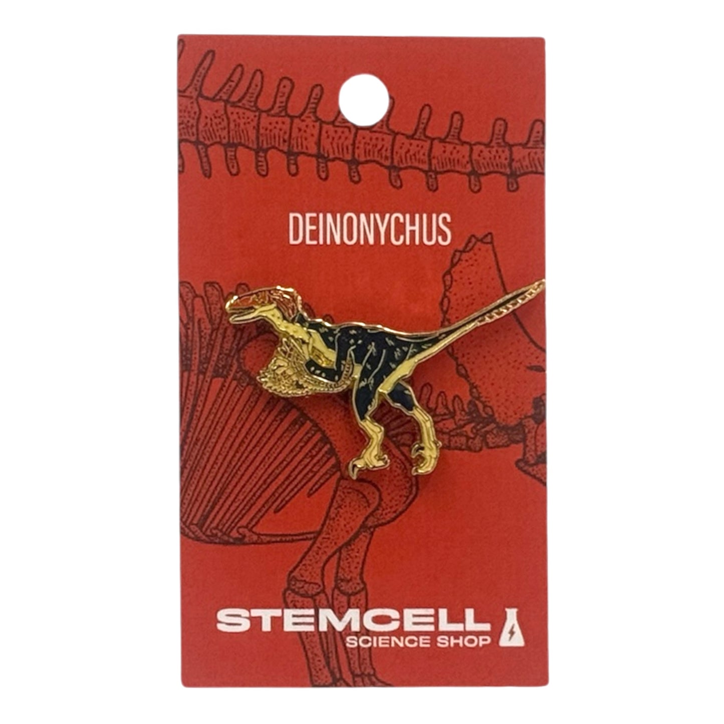 Prehistoric Pin