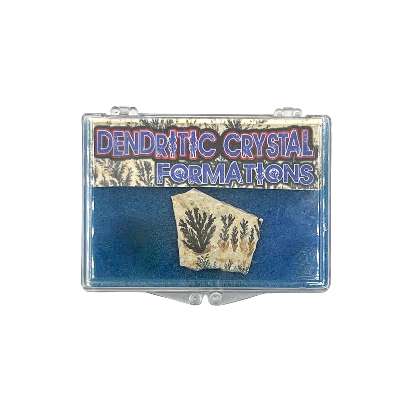 Dendritic Crystal Formations + Case