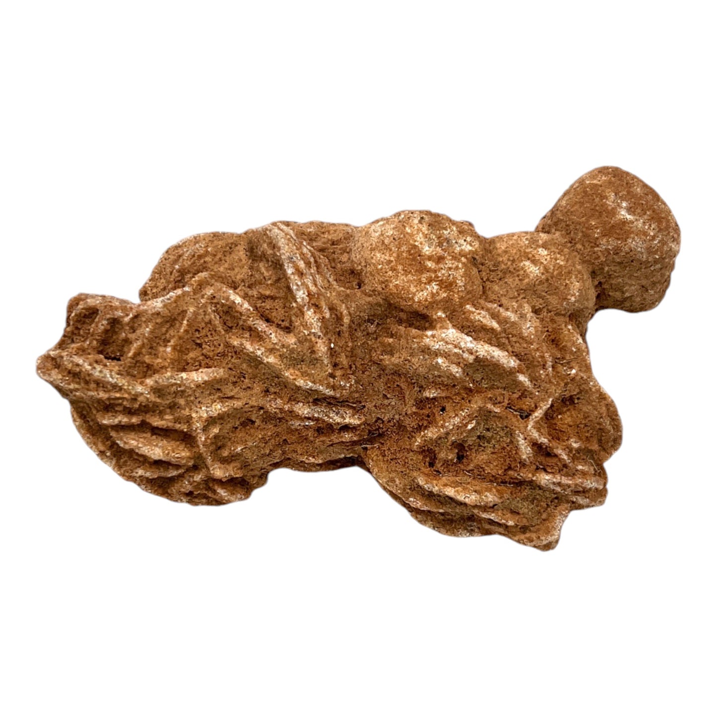 Desert Rose