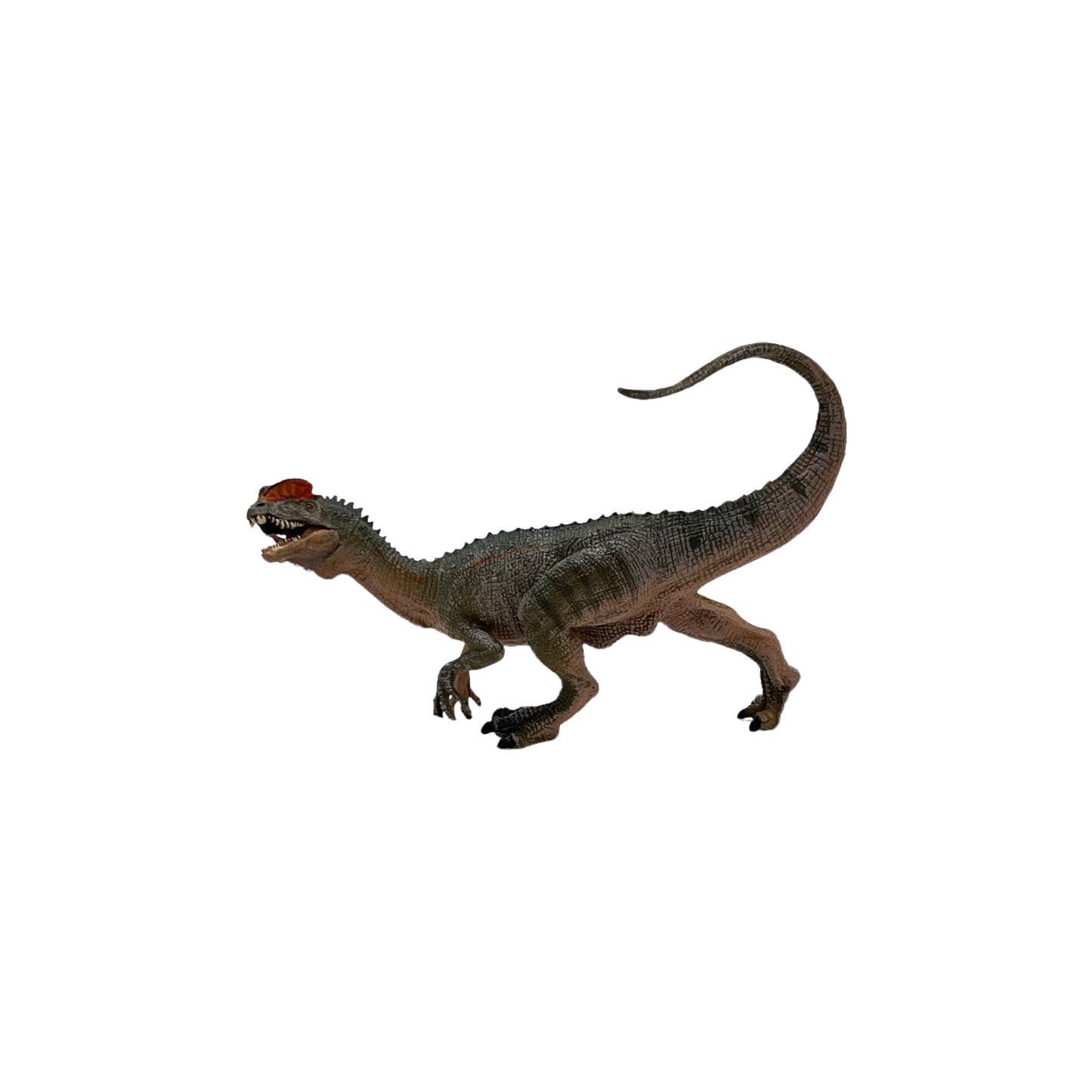 Dilophosaurus (Papo)