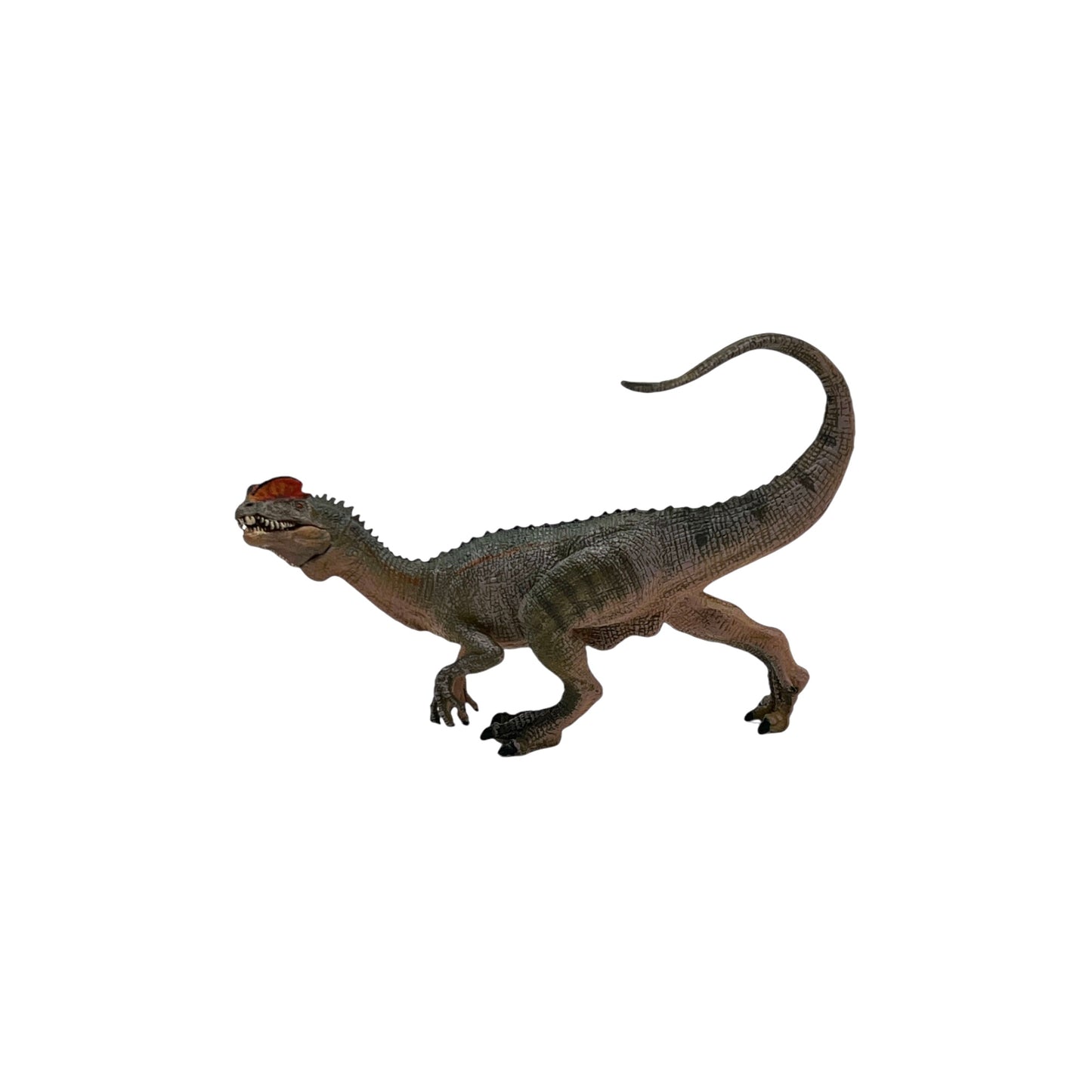 Dilophosaurus (Papo)
