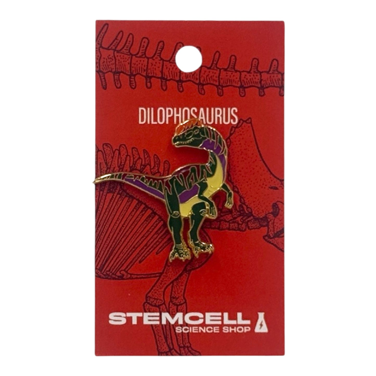 Prehistoric Pin