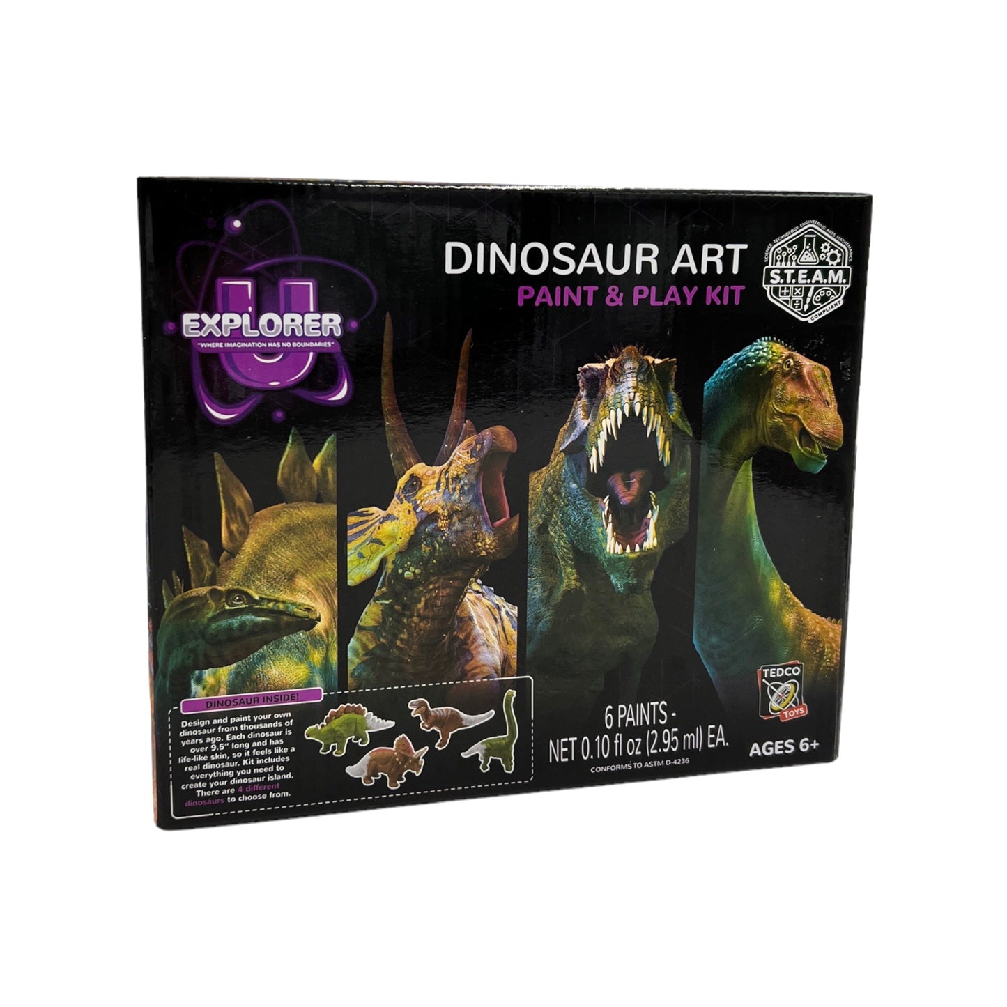 Dinosaur Art Paint and Play Kit