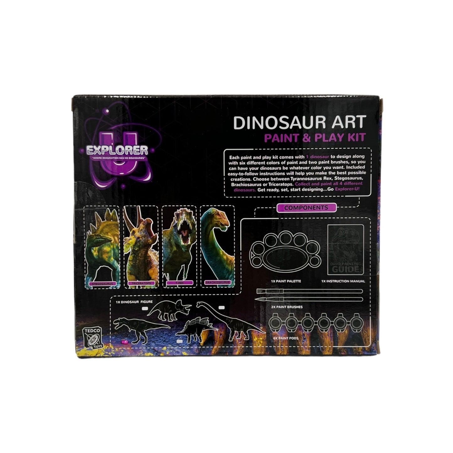 Dinosaur Art Paint and Play Kit