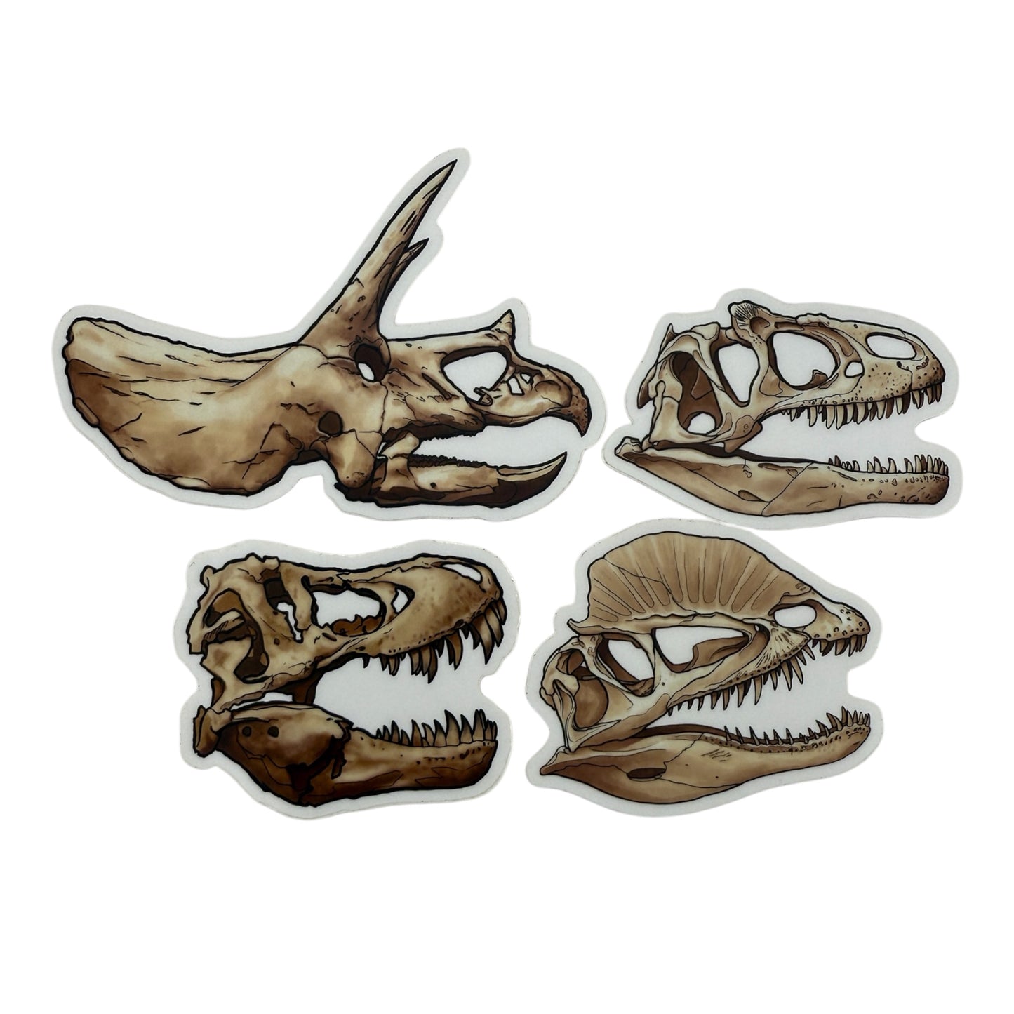 Dinosaur Skull Sticker