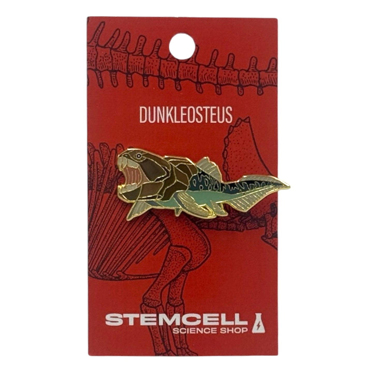 Prehistoric Pin