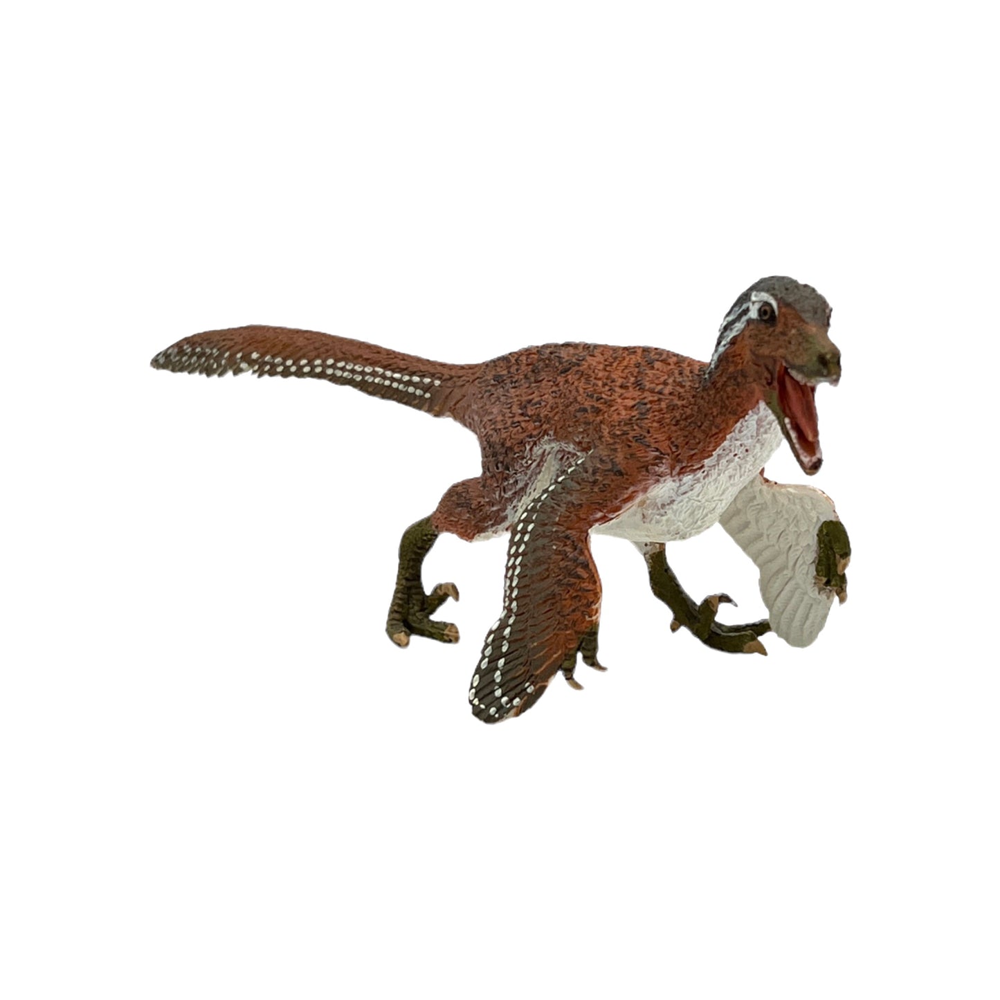 Feathered Velociraptor (Safari)