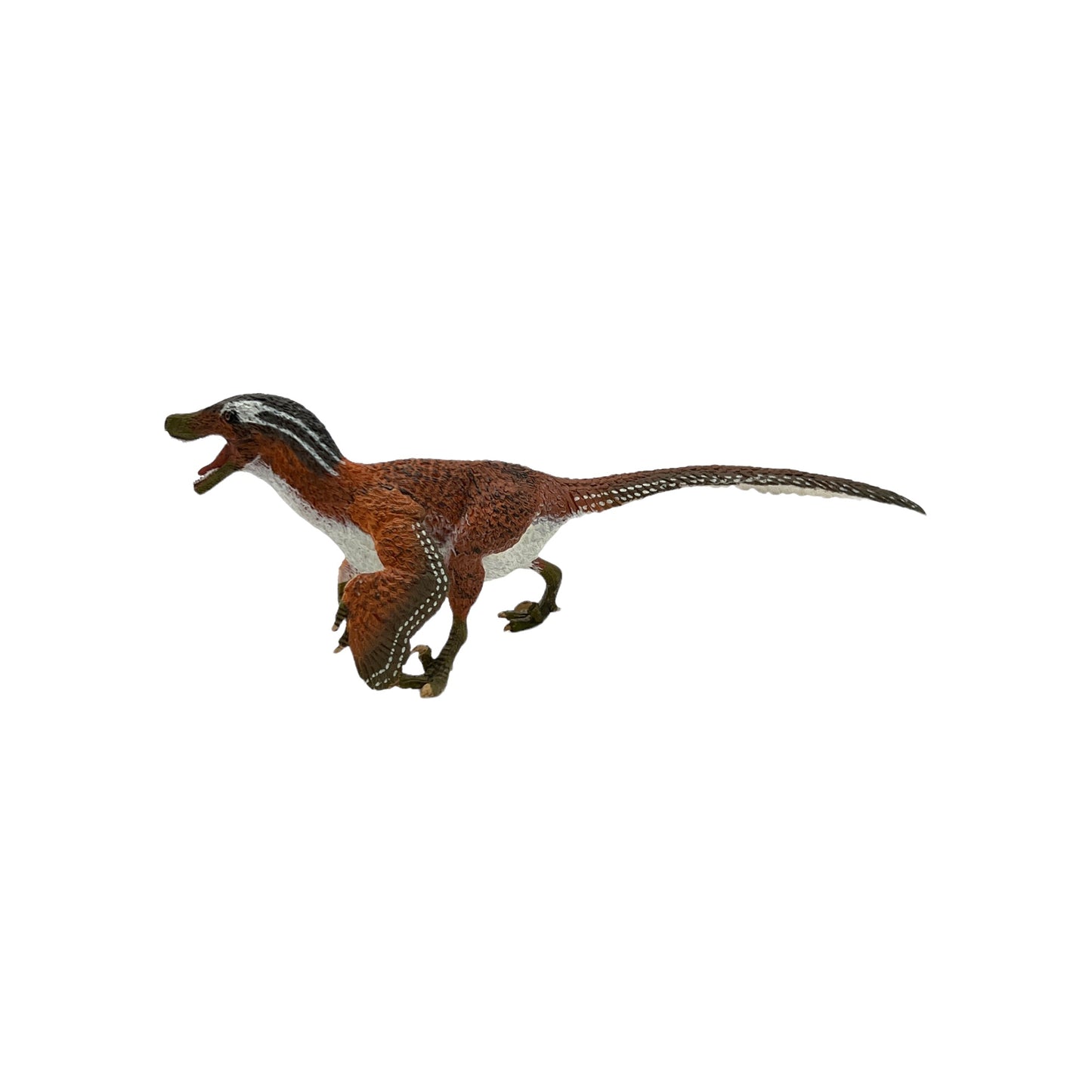 Feathered Velociraptor (Safari)