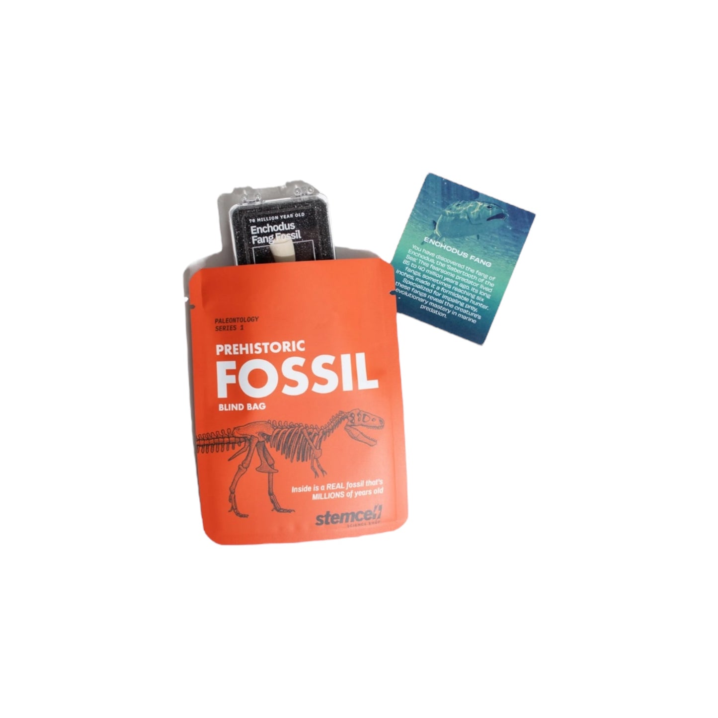 Fossil Blind Bag