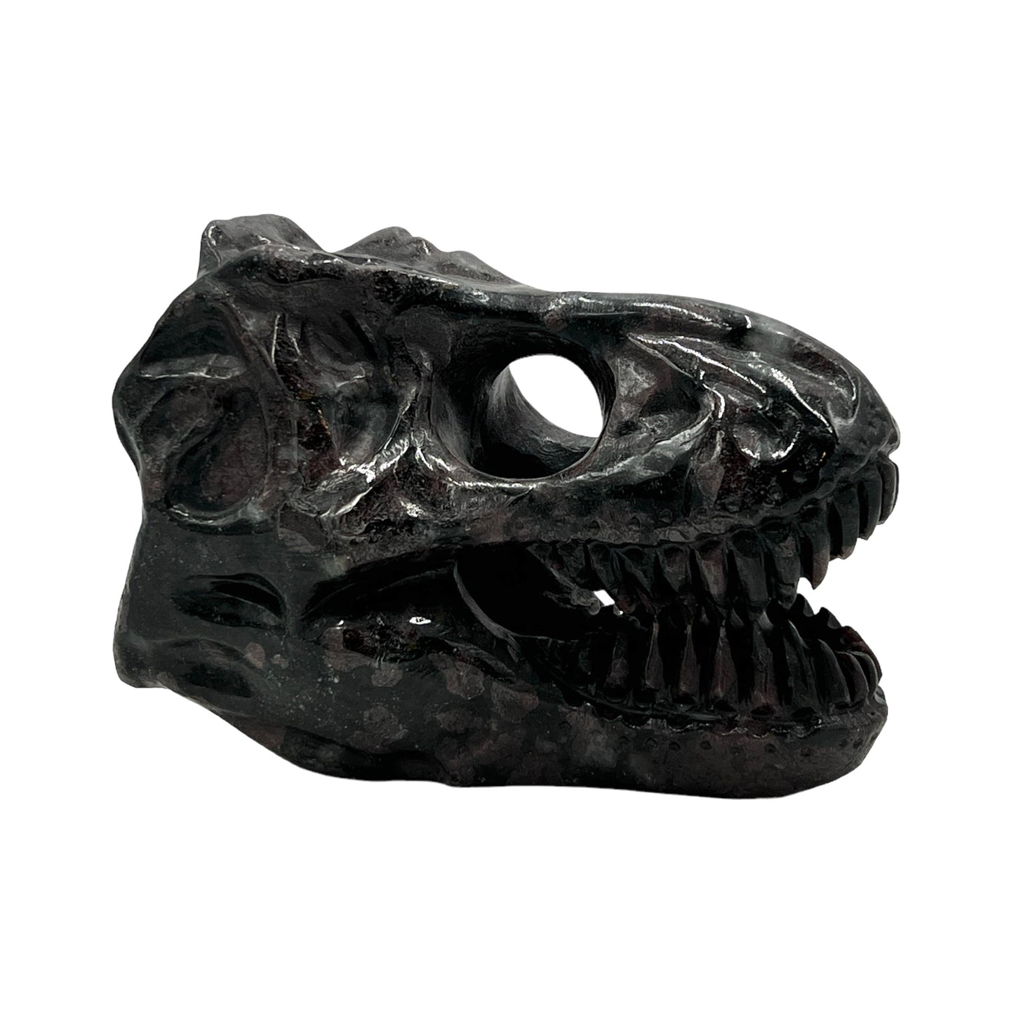 Skull (Garnet T-Rex)