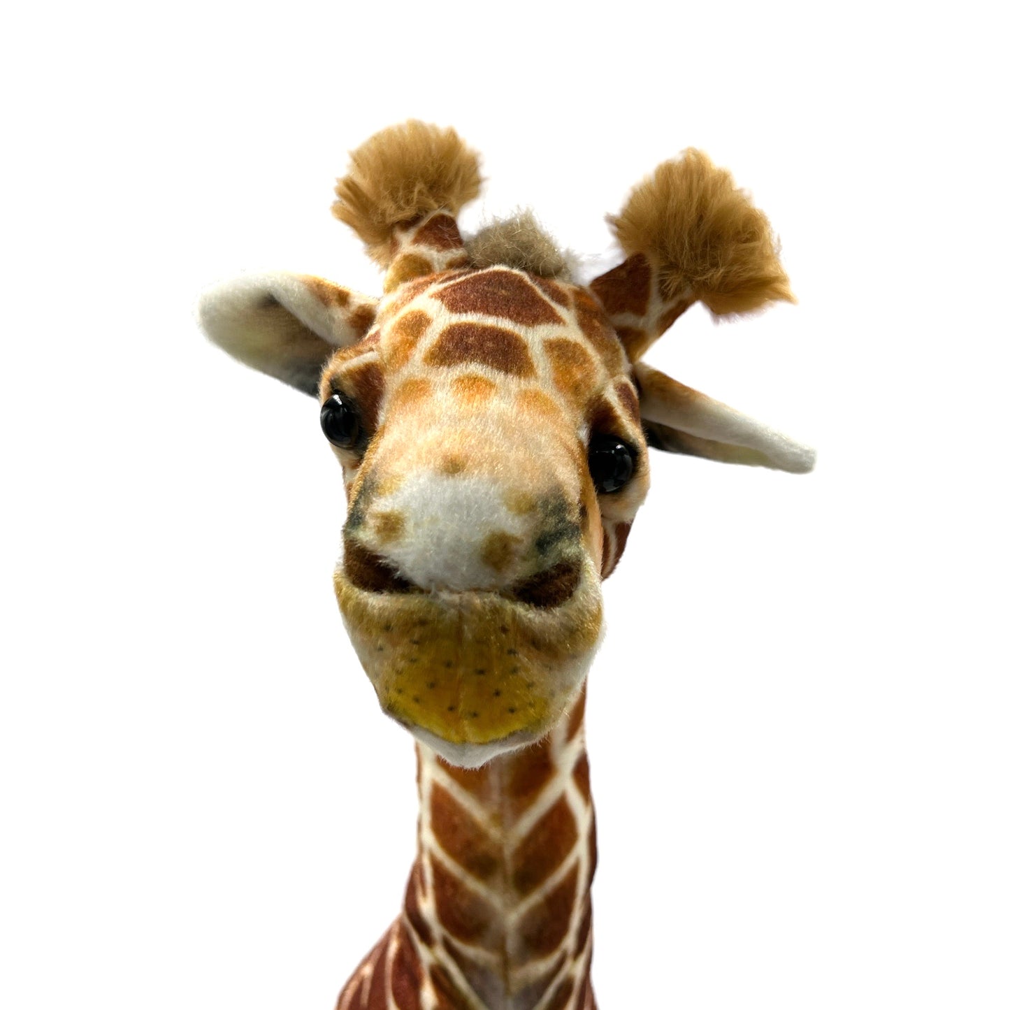 Giraffe Plush