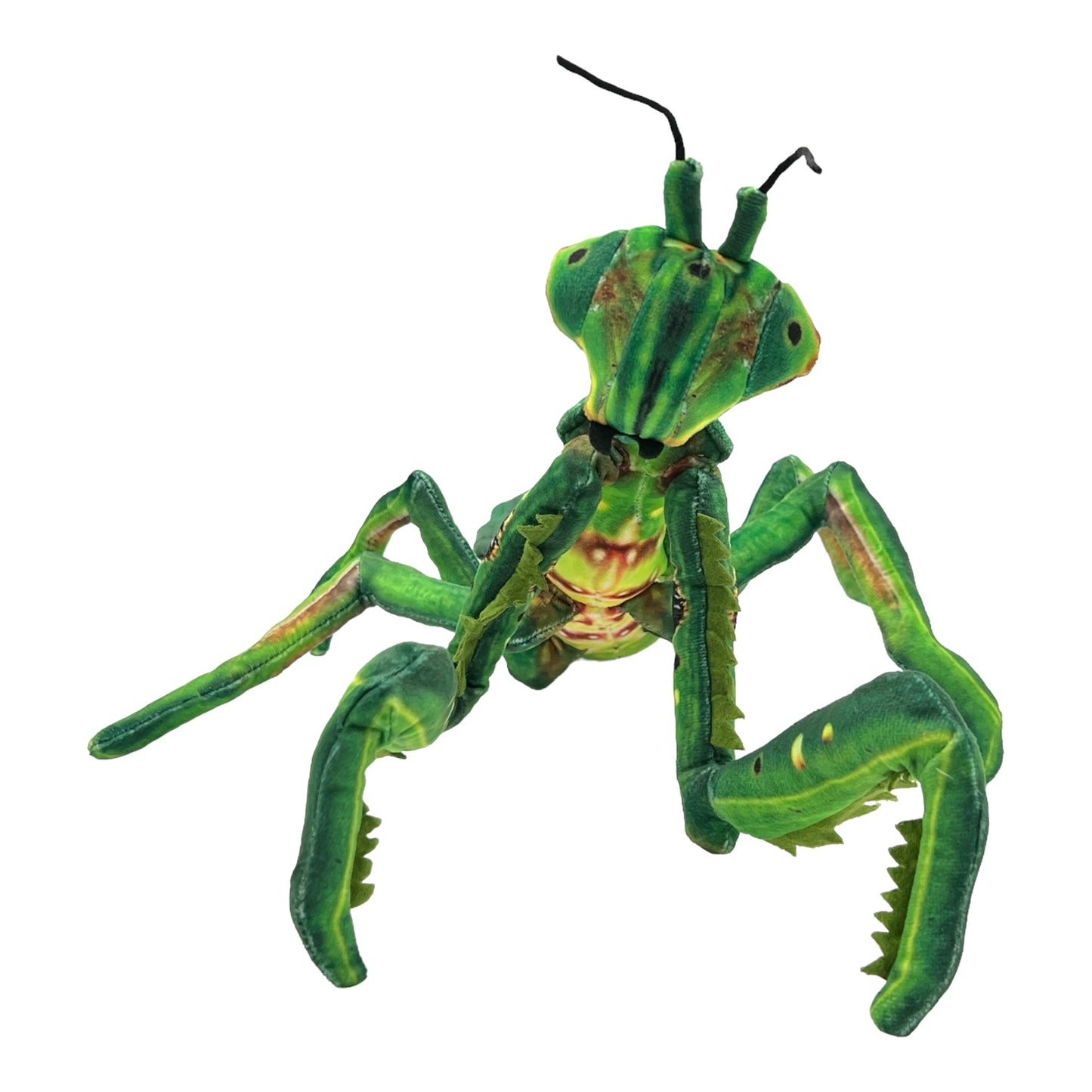 Praying Mantis Plush (Green)