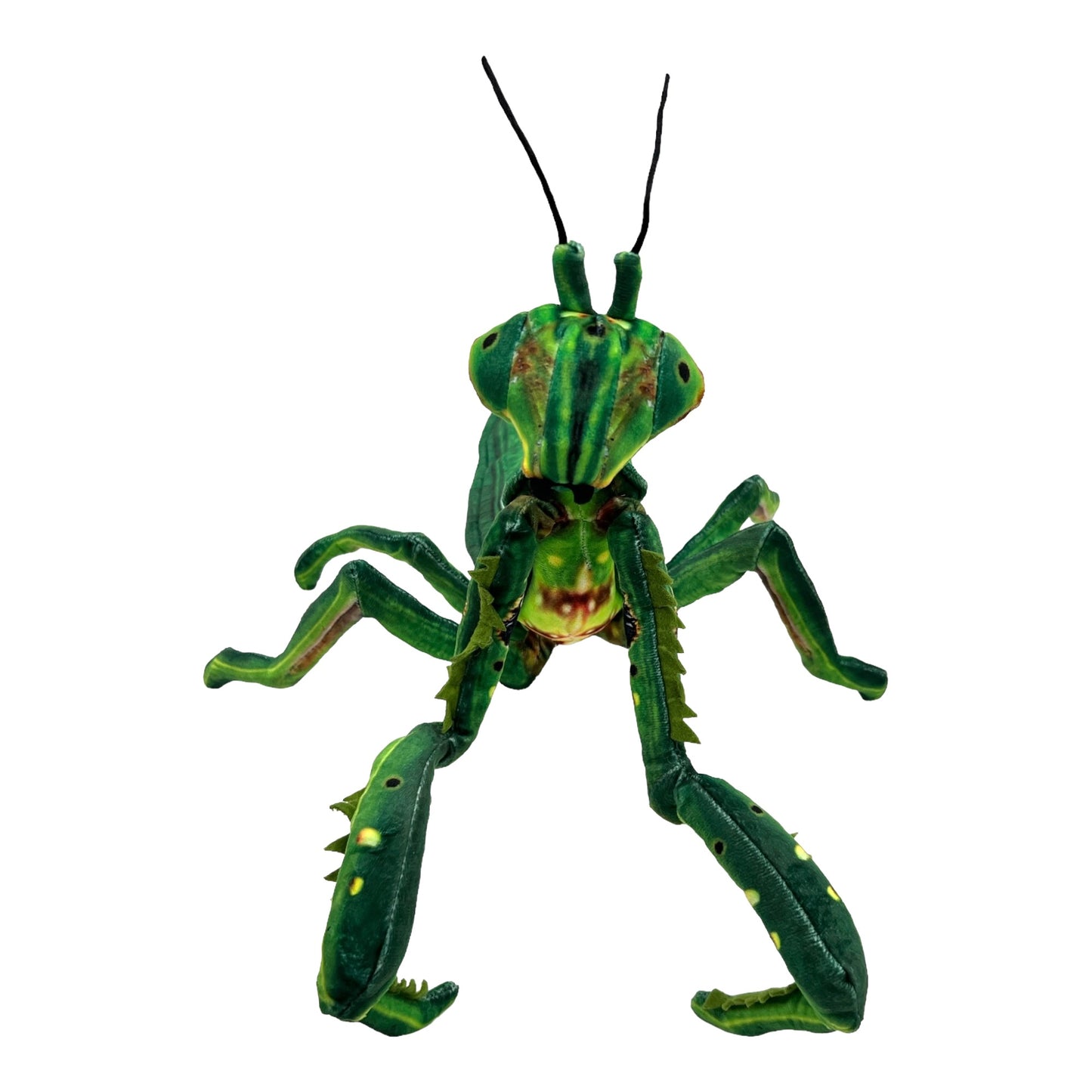 Praying Mantis Plush (Green)