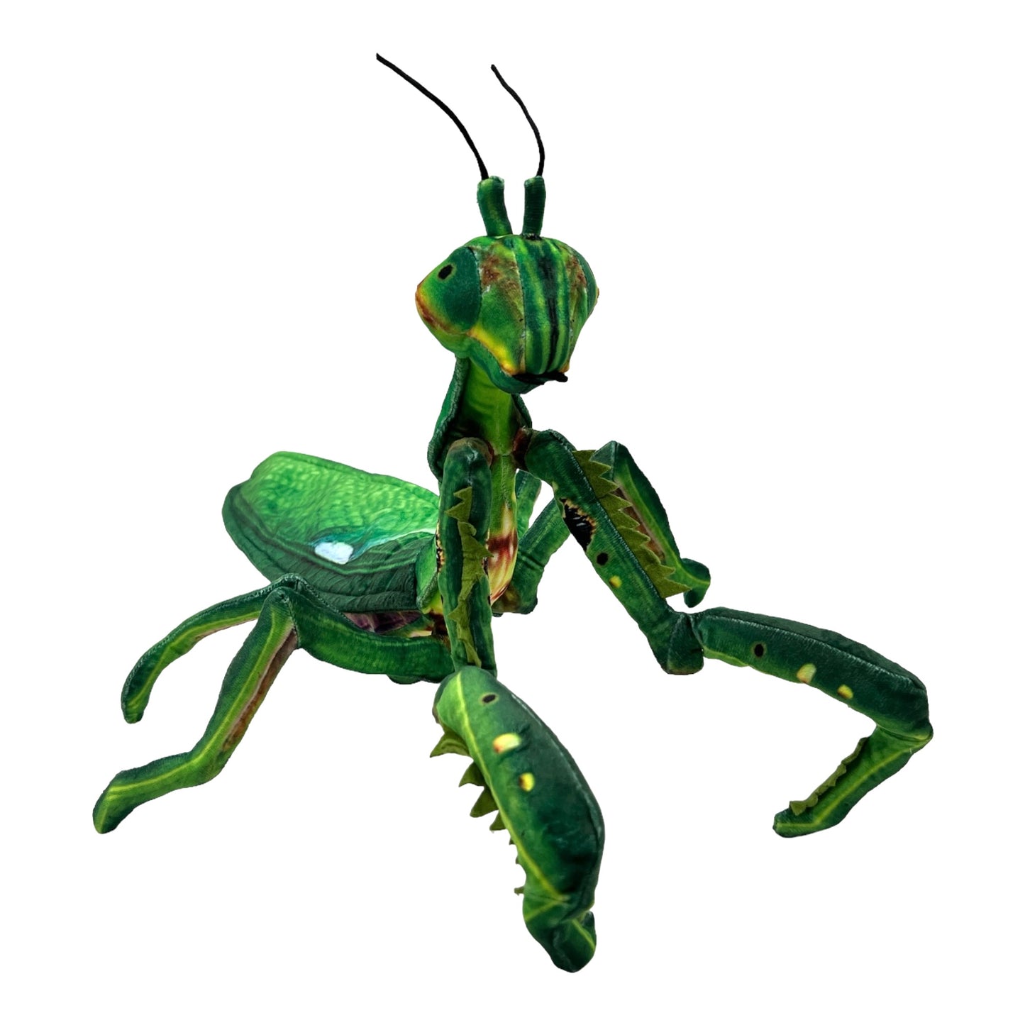 Praying Mantis Plush (Green)