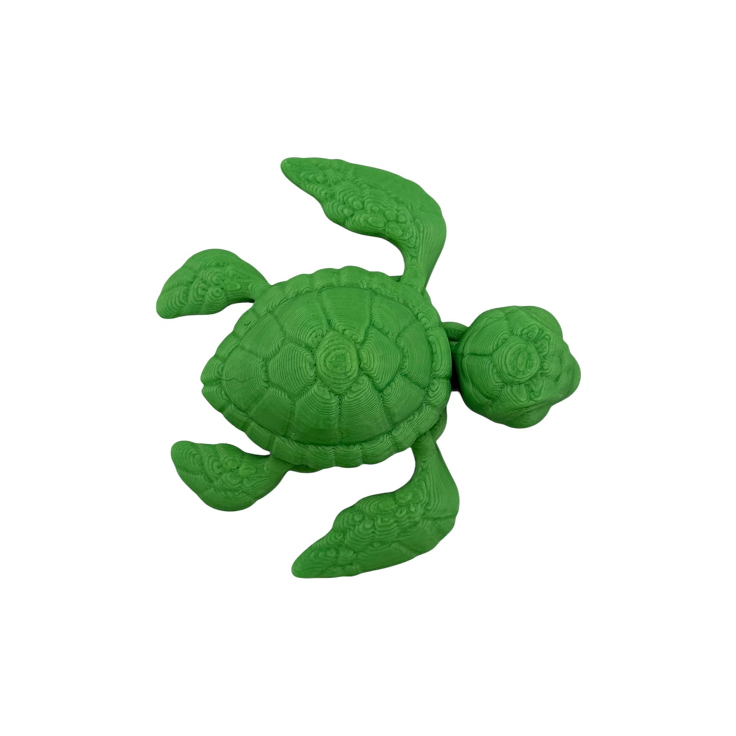 3D Printed Turtle