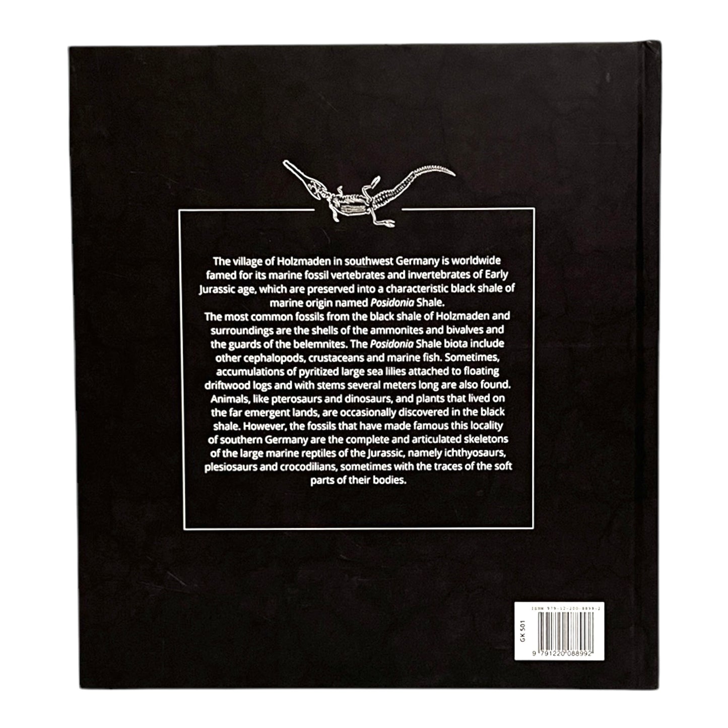 Jurassic Oceans - Holzmaden