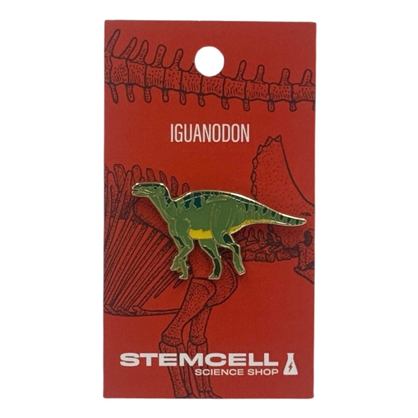 Prehistoric Pin