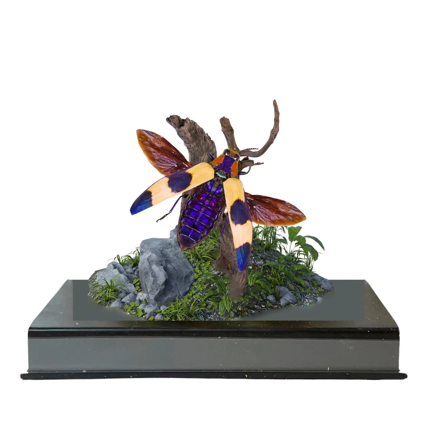 Jewel Beetle Diorama