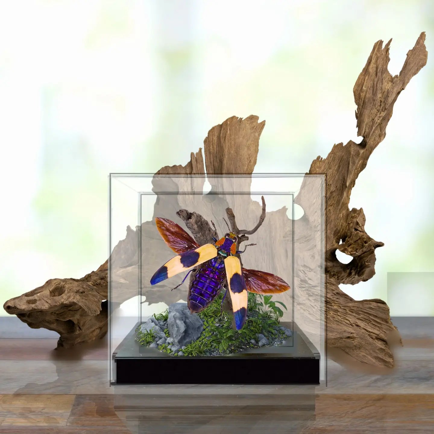 Jewel Beetle Diorama