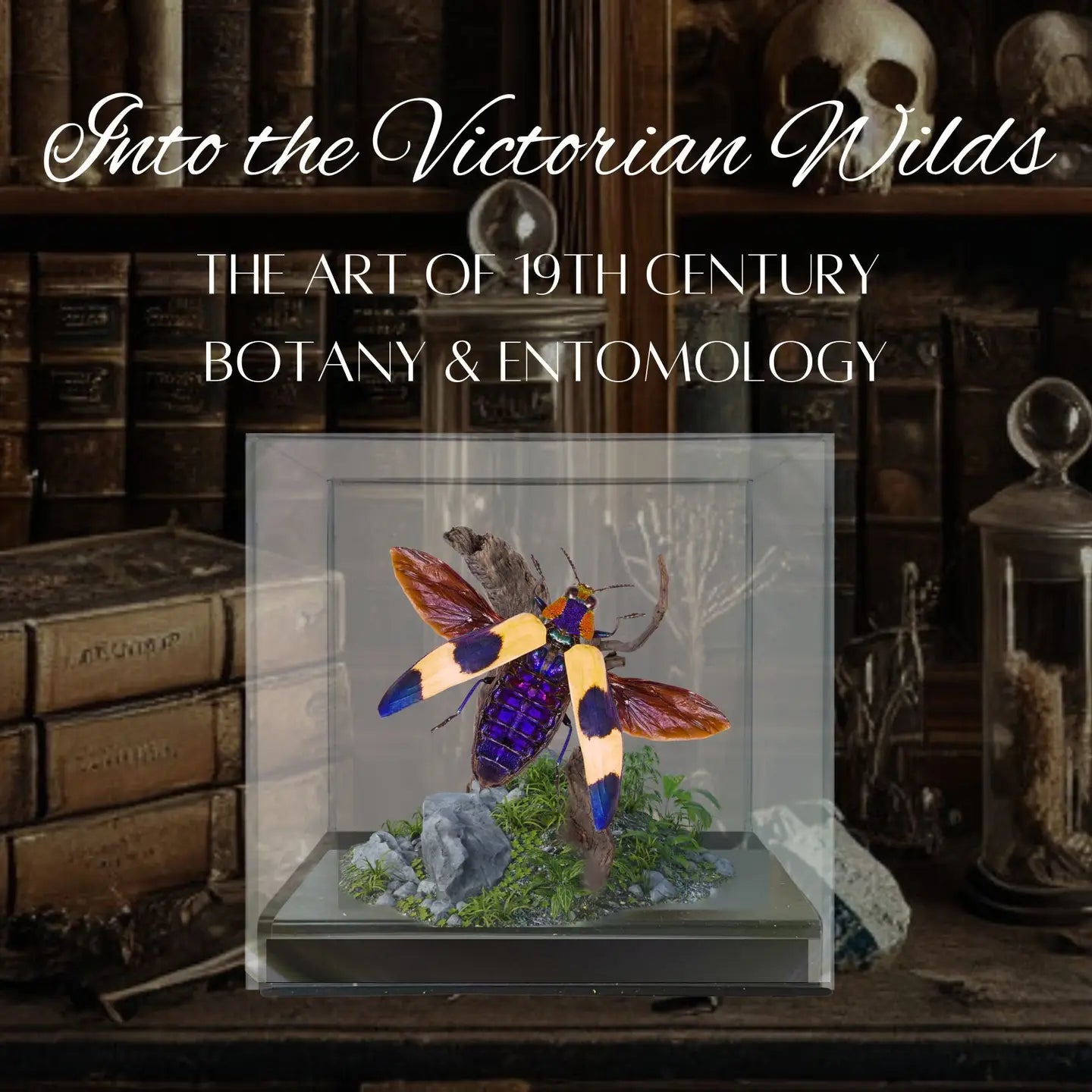 Jewel Beetle Diorama